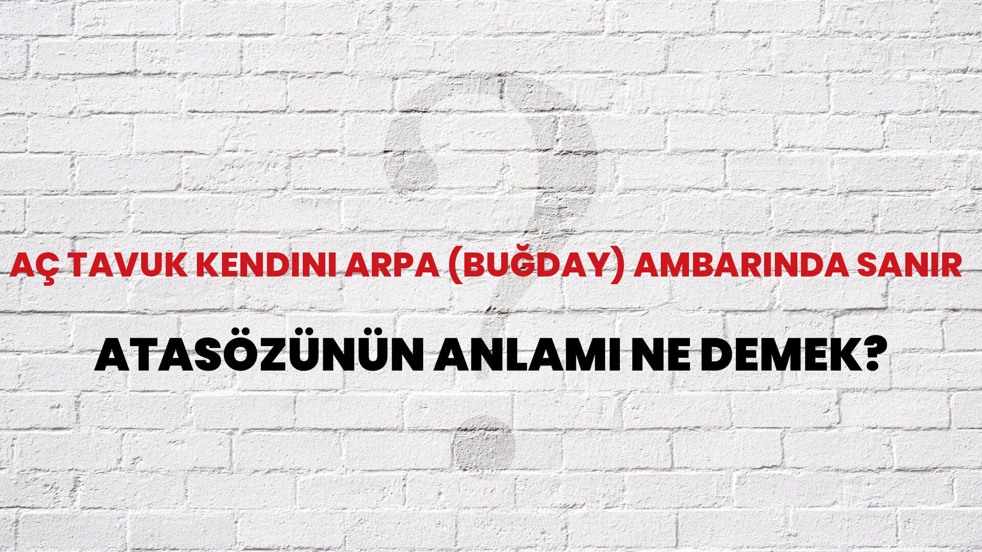 Aç tavuk kendini arpa (buğday) ambarında sanır Atasözünün Anlamı Ne Demek?
