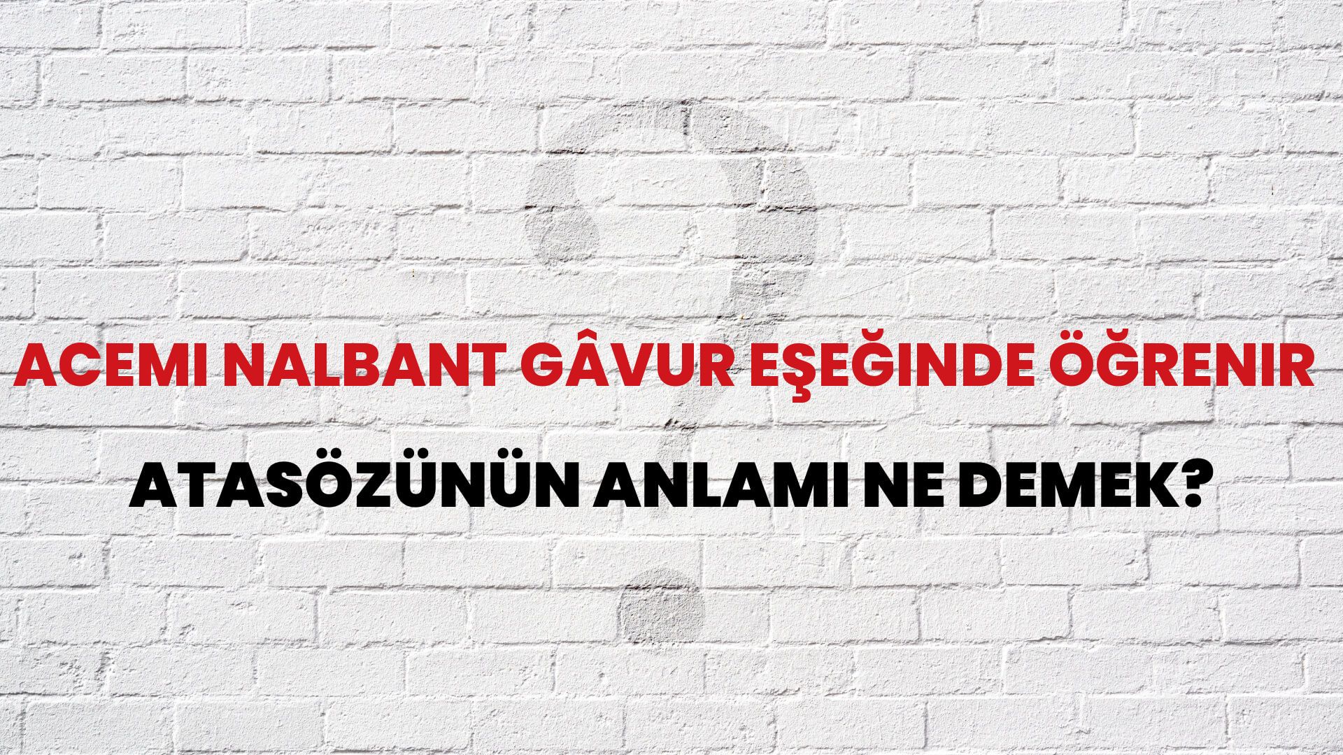 Acemi nalbant gâvur eşeğinde öğrenir Atasözünün Anlamı Ne Demek?