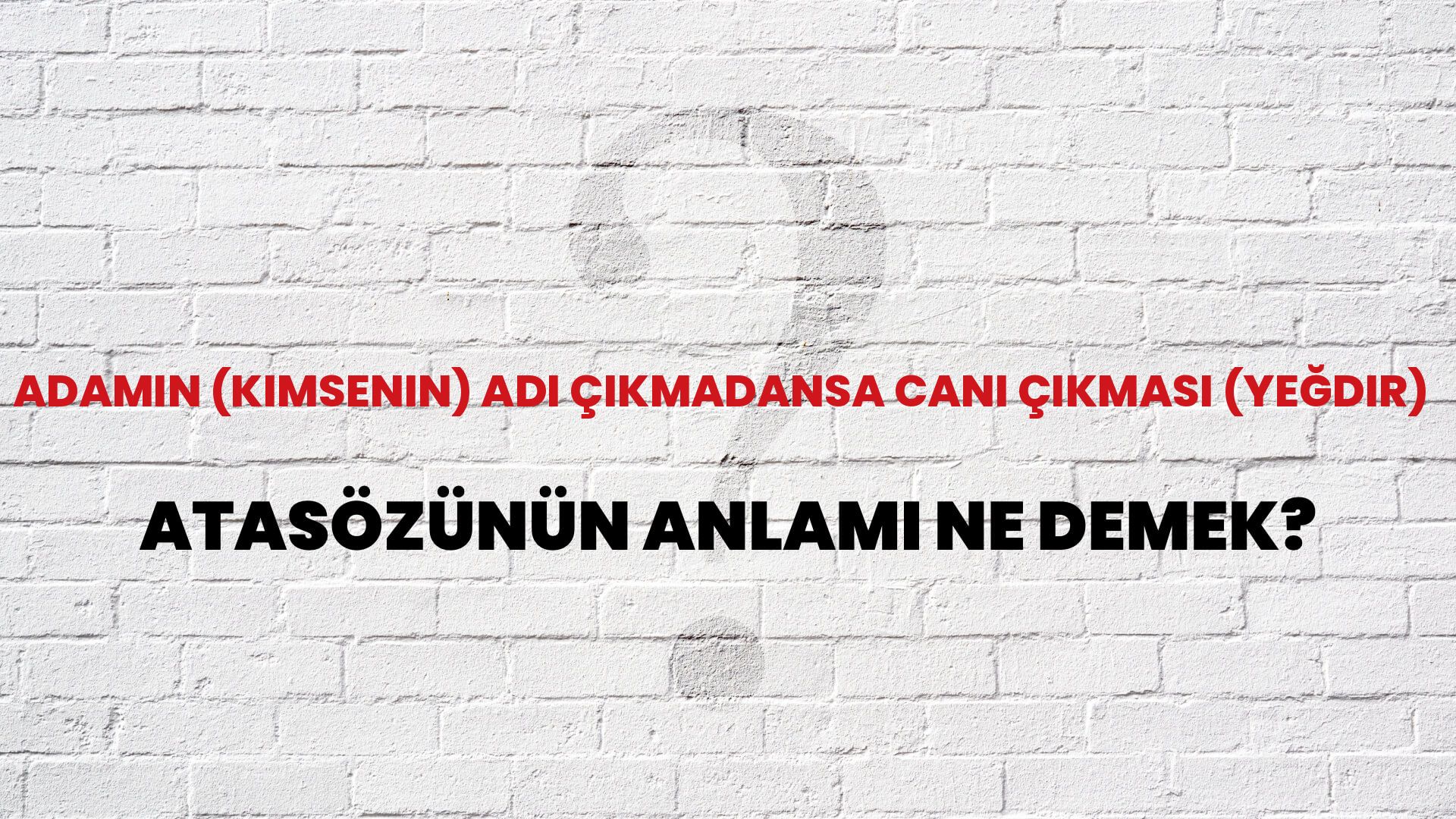 Adamın (kimsenin) adı çıkmadansa canı çıkması (yeğdir) Atasözünün Anlamı Ne Demek?