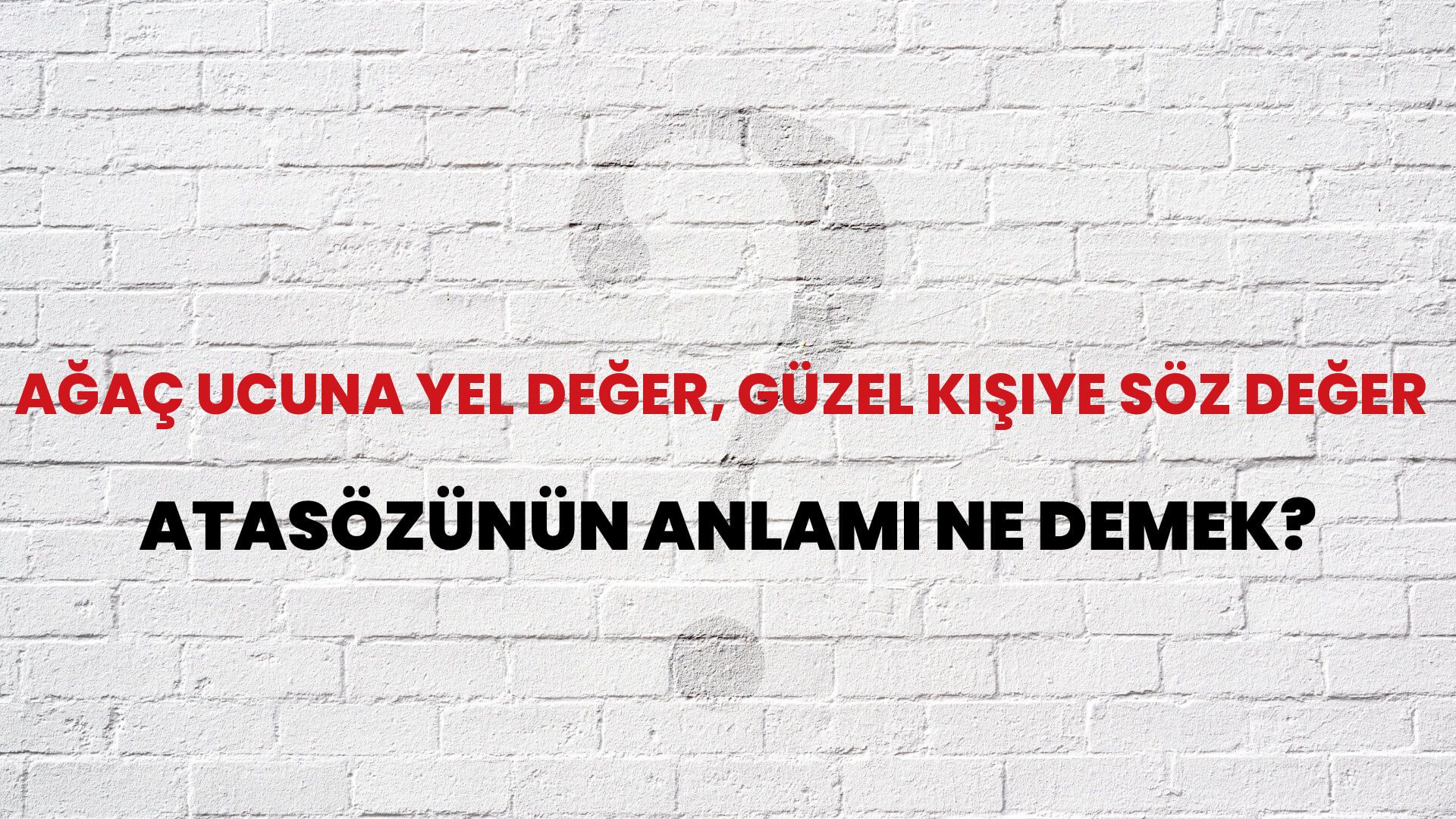 Ağaç ucuna yel değer, güzel kişiye söz değer Atasözünün Anlamı Ne Demek?