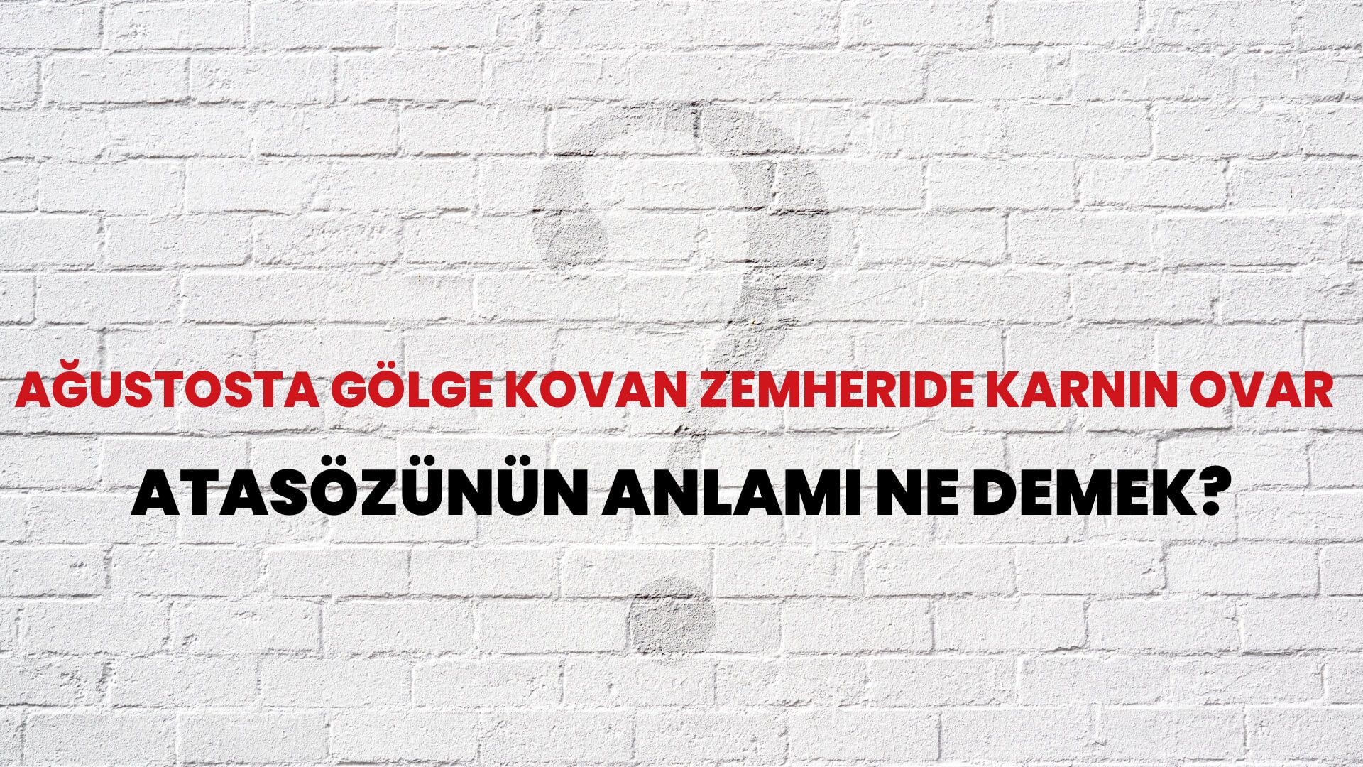 Ağustosta gölge kovan zemheride karnın ovar Atasözünün Anlamı Ne Demek?