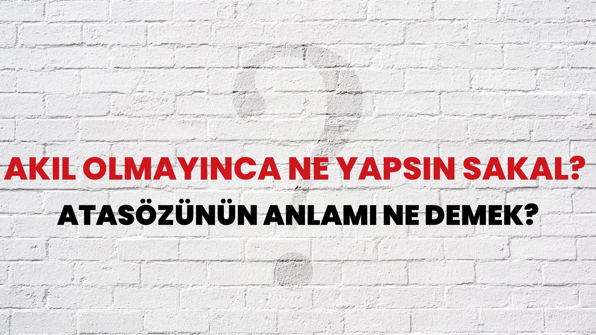 Akıl olmayınca ne yapsın sakal? Atasözünün Anlamı Ne Demek?