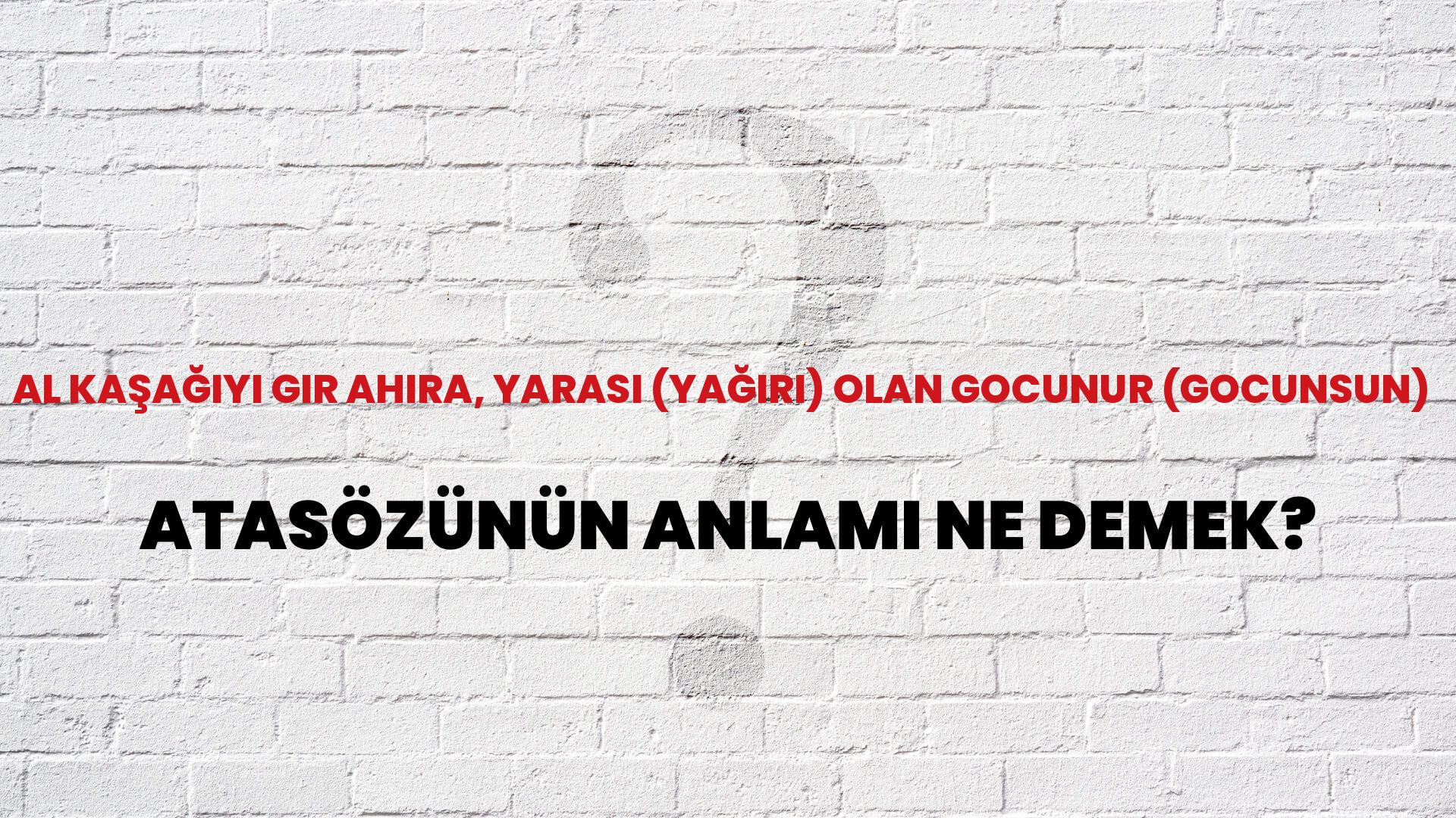 Al kaşağıyı gir ahıra, yarası (yağırı) olan gocunur (gocunsun) Atasözünün Anlamı Ne Demek?