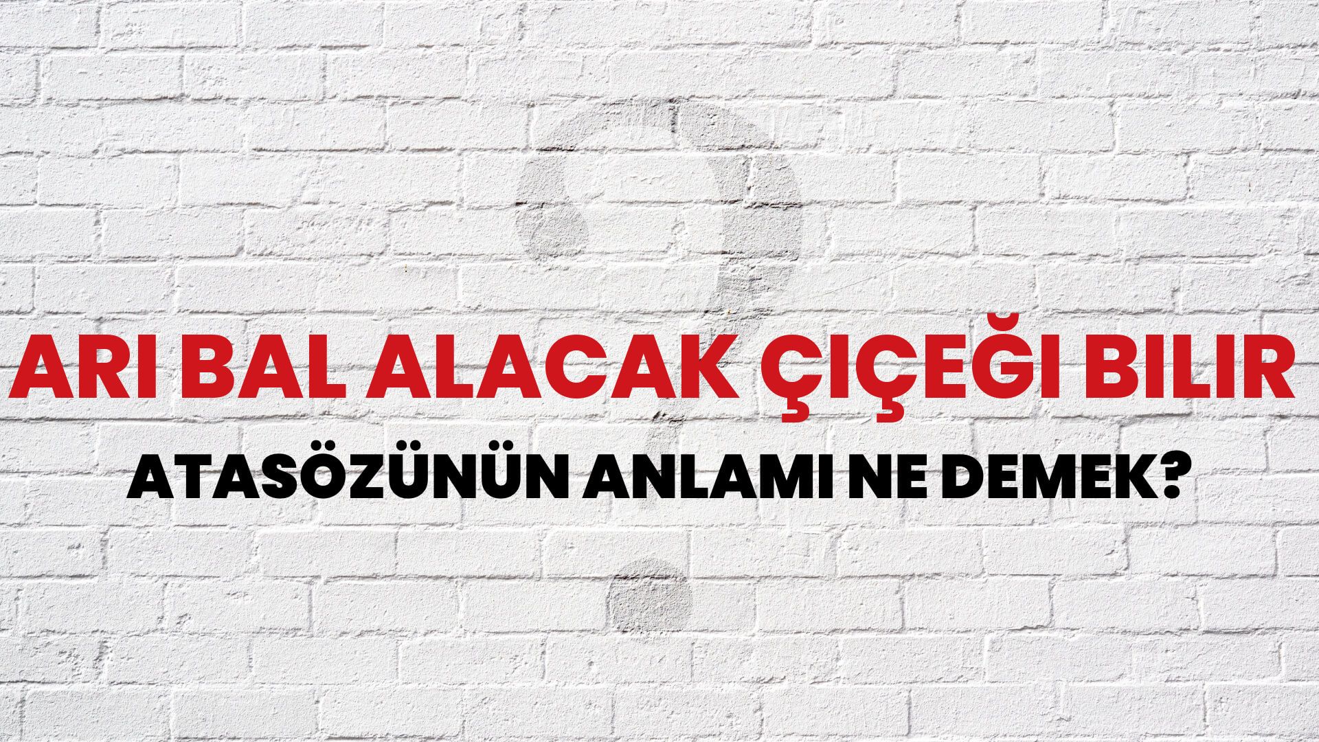 Arı bal alacak çiçeği bilir Atasözünün Anlamı Ne Demek?