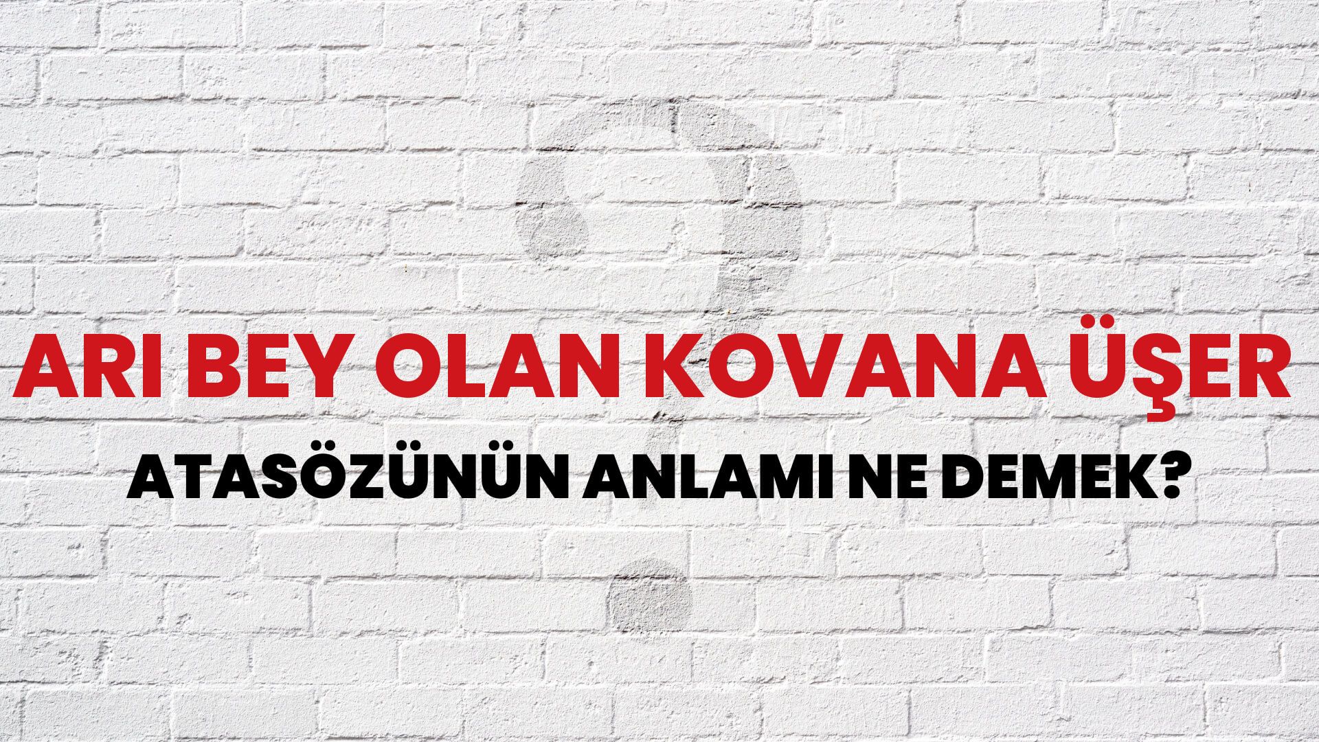 Arı bey olan kovana üşer Atasözünün Anlamı Ne Demek?
