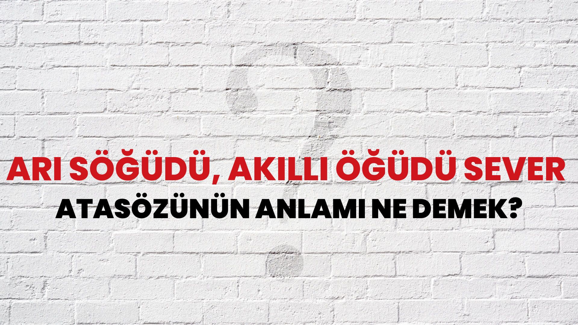 Arı söğüdü, akıllı öğüdü sever Atasözünün Anlamı Ne Demek?
