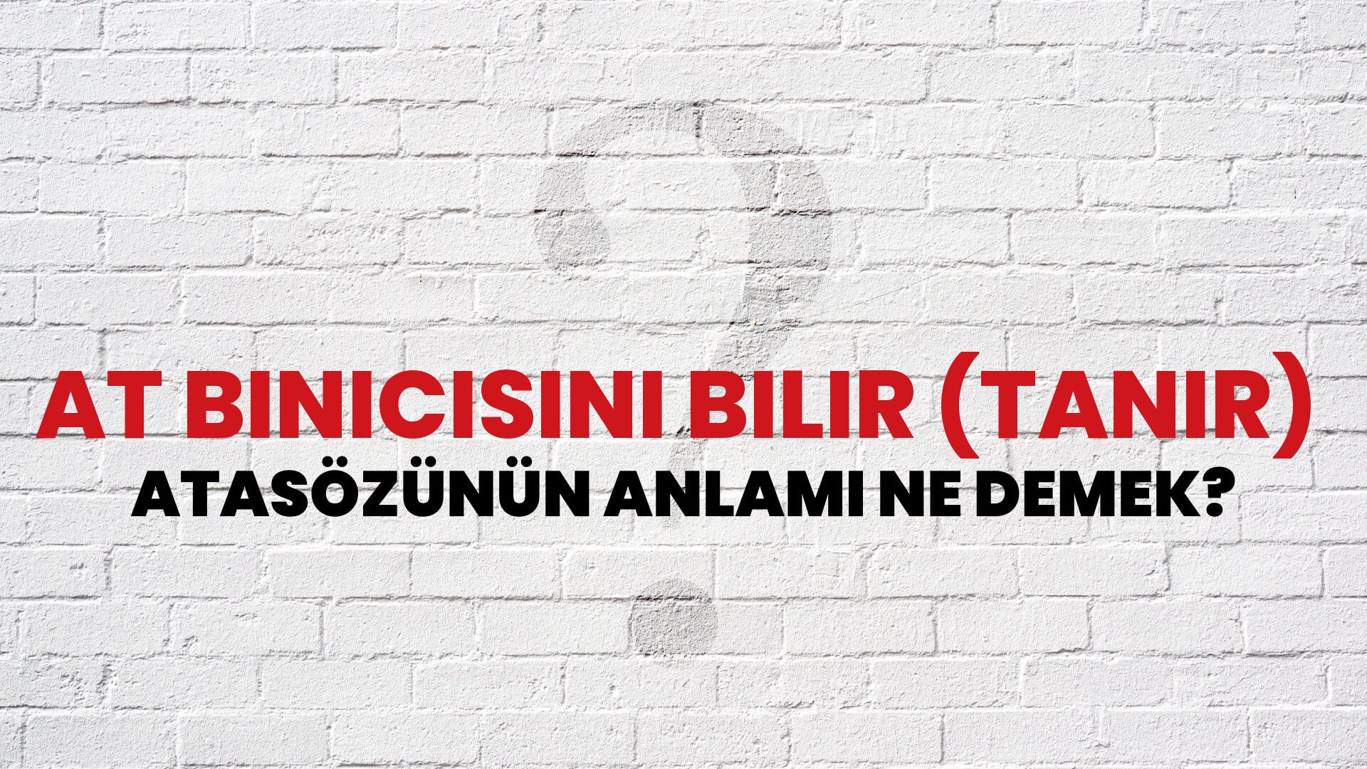 At binicisini bilir (tanır) Atasözünün Anlamı Ne Demek?
