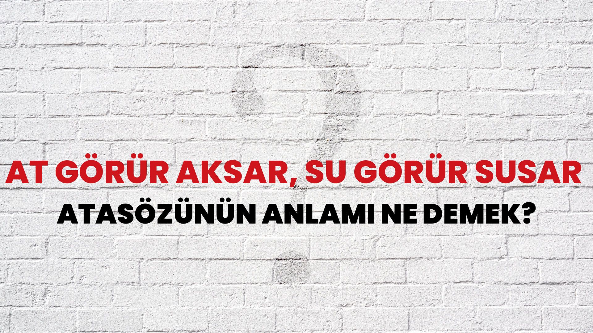 At görür aksar, su görür susar Atasözünün Anlamı Ne Demek?