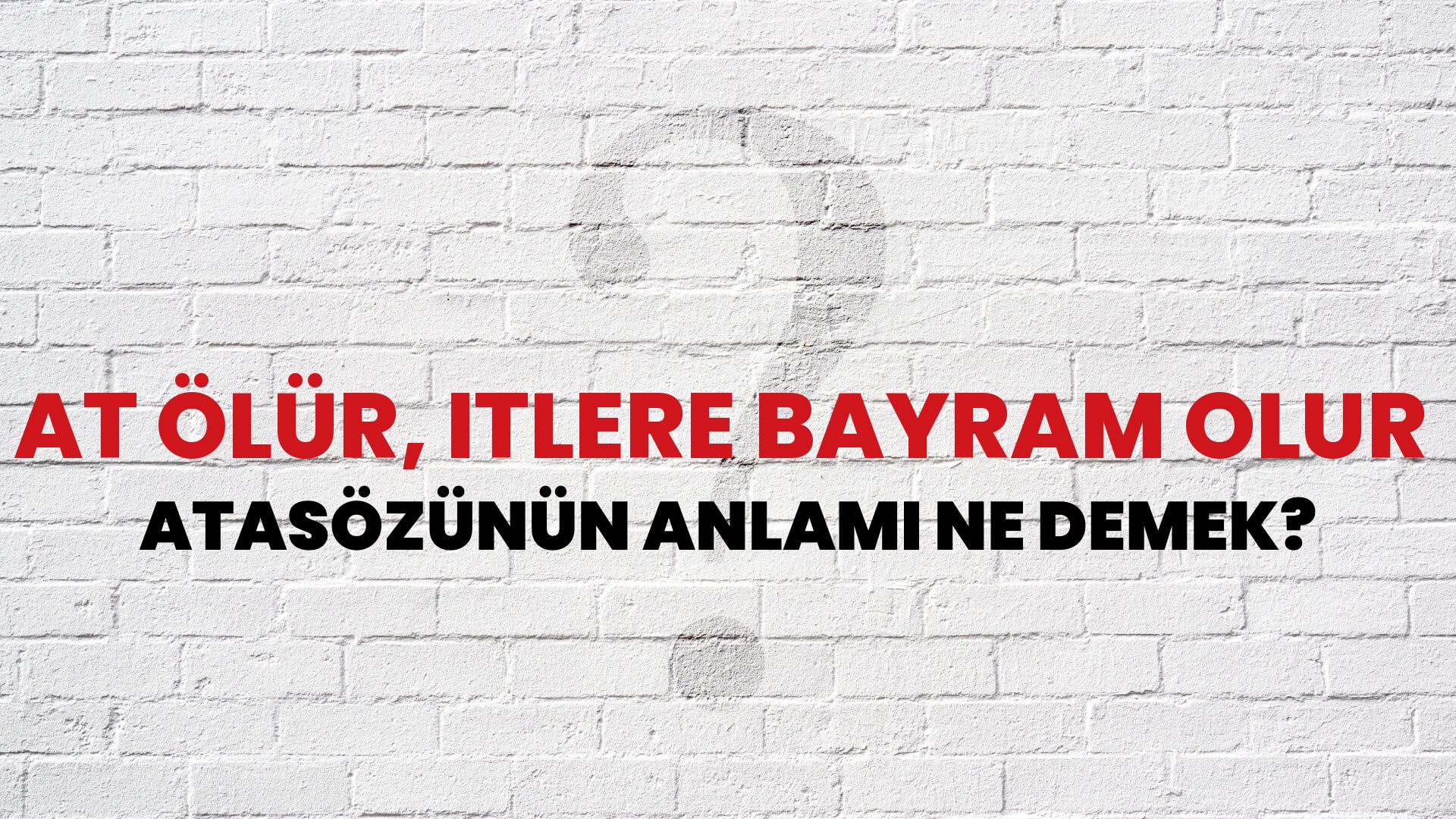 At ölür, itlere bayram olur Atasözünün Anlamı Ne Demek?