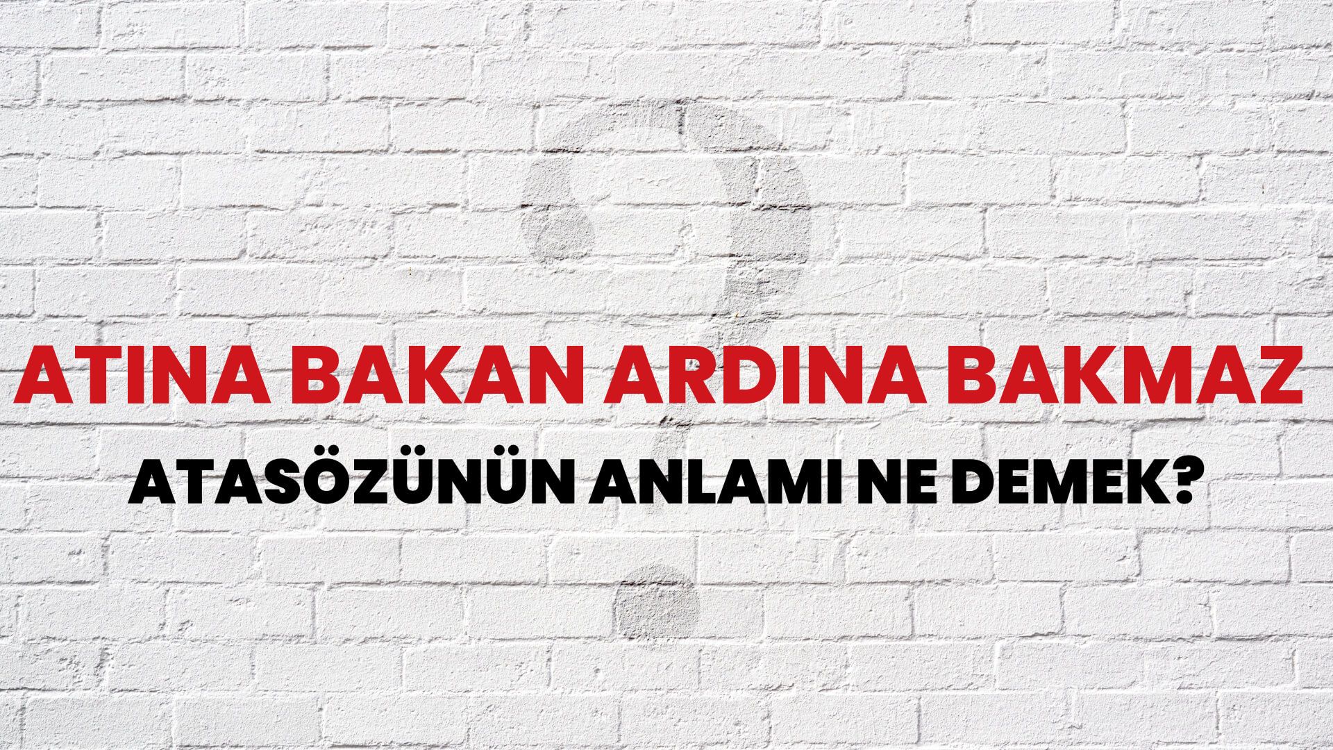 Atına bakan ardına bakmaz Atasözünün Anlamı Ne Demek?