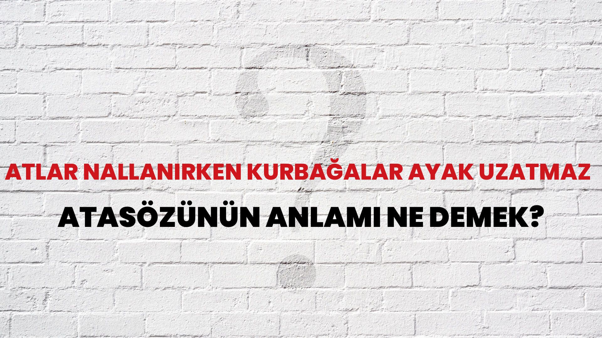 Atlar nallanırken kurbağalar ayak uzatmaz Atasözünün Anlamı Ne Demek?