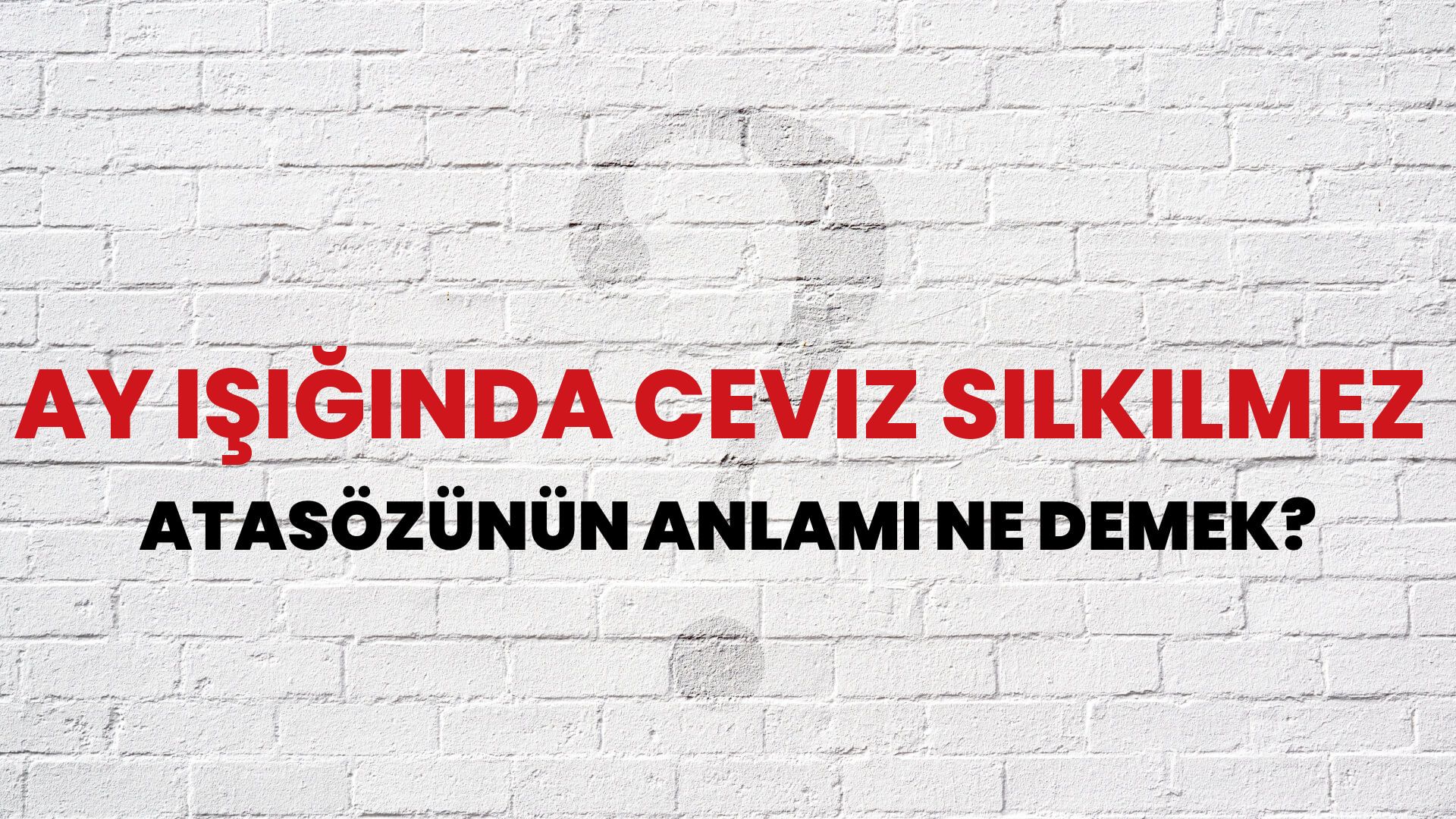 Ay ışığında ceviz silkilmez Atasözünün Anlamı Ne Demek?