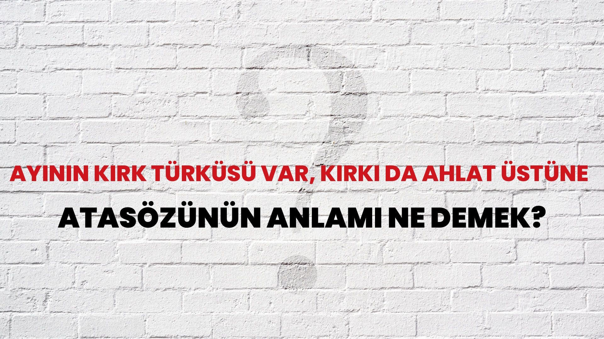 Ayının kırk türküsü var, kırkı da ahlat üstüne Atasözünün Anlamı Ne Demek?