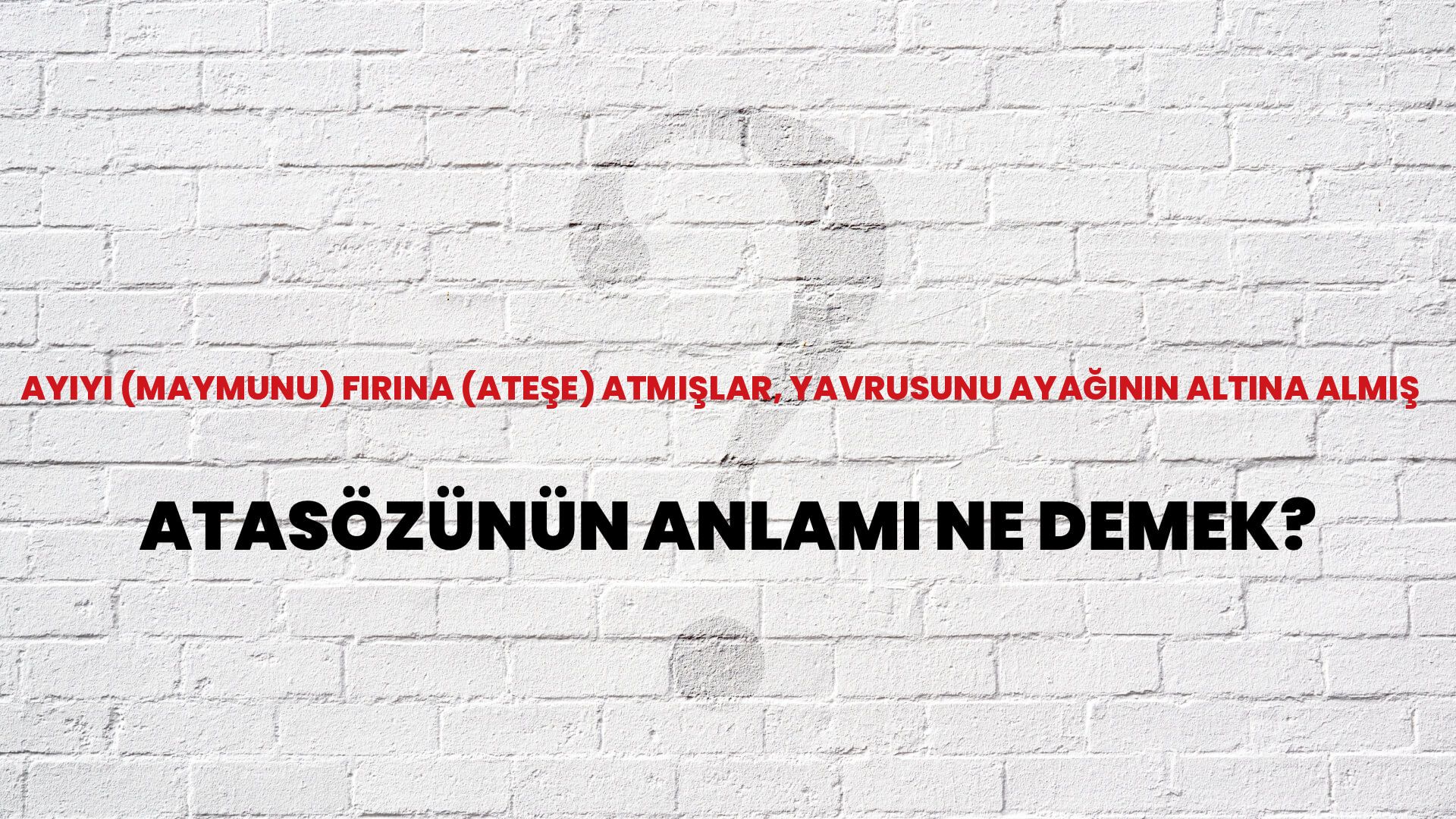 Ayıyı (maymunu) fırına (ateşe) atmışlar, yavrusunu ayağının altına almış Atasözünün Anlamı Ne Demek?