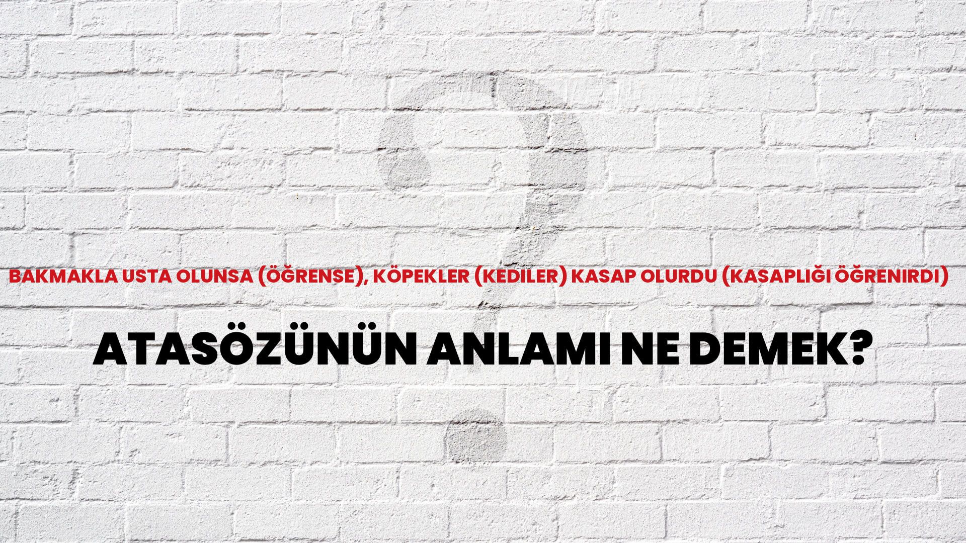 Bakmakla usta olunsa (öğrense), köpekler (kediler) kasap olurdu (kasaplığı öğrenirdi) Atasözünün Anlamı Ne Demek?