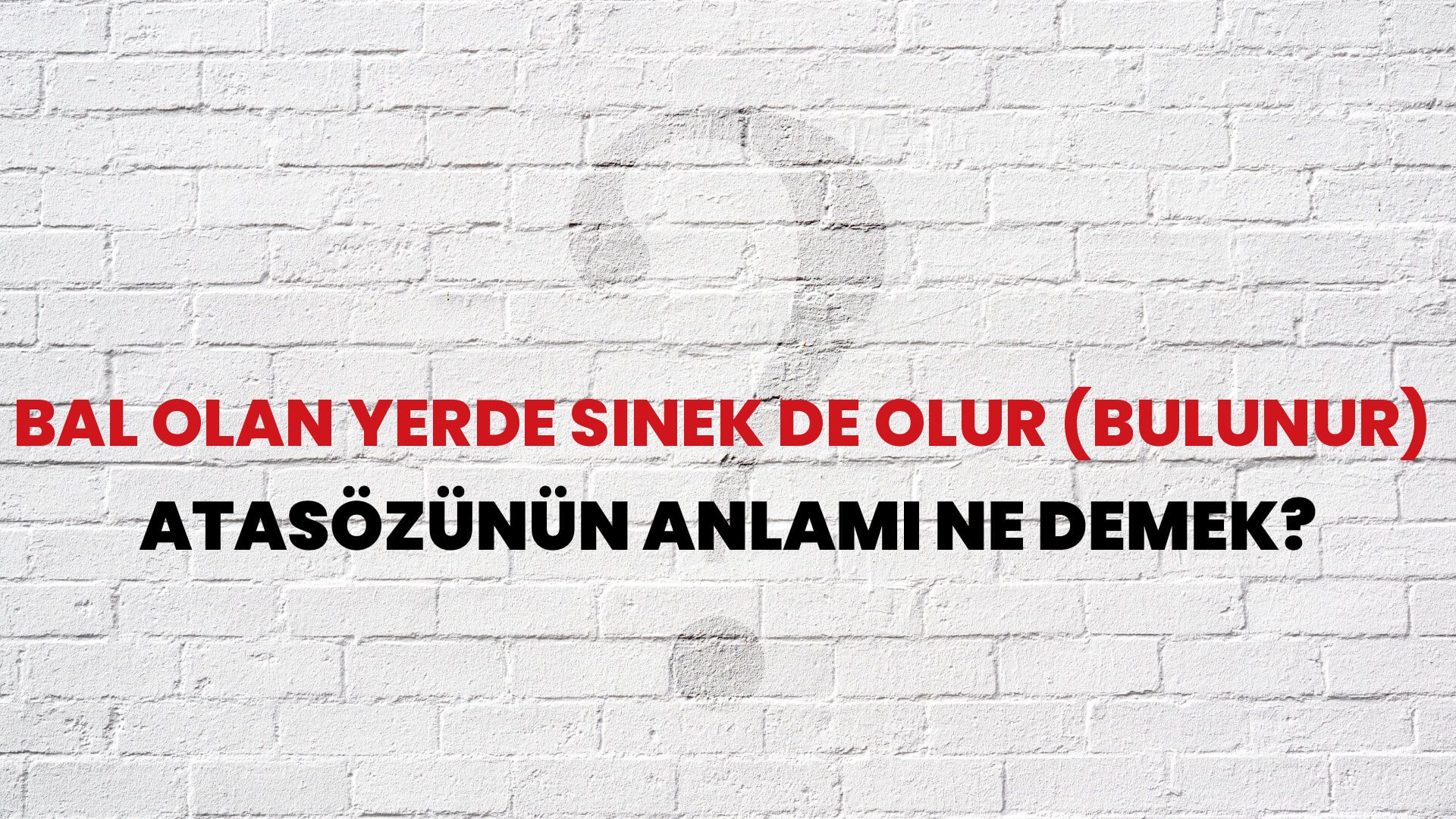 Bal olan yerde sinek de olur (bulunur) Atasözünün Anlamı Ne Demek?