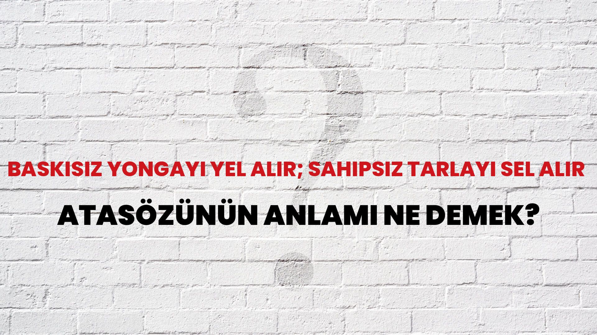 Baskısız yongayı yel alır; sahipsiz tarlayı sel alır Atasözünün Anlamı Ne Demek?