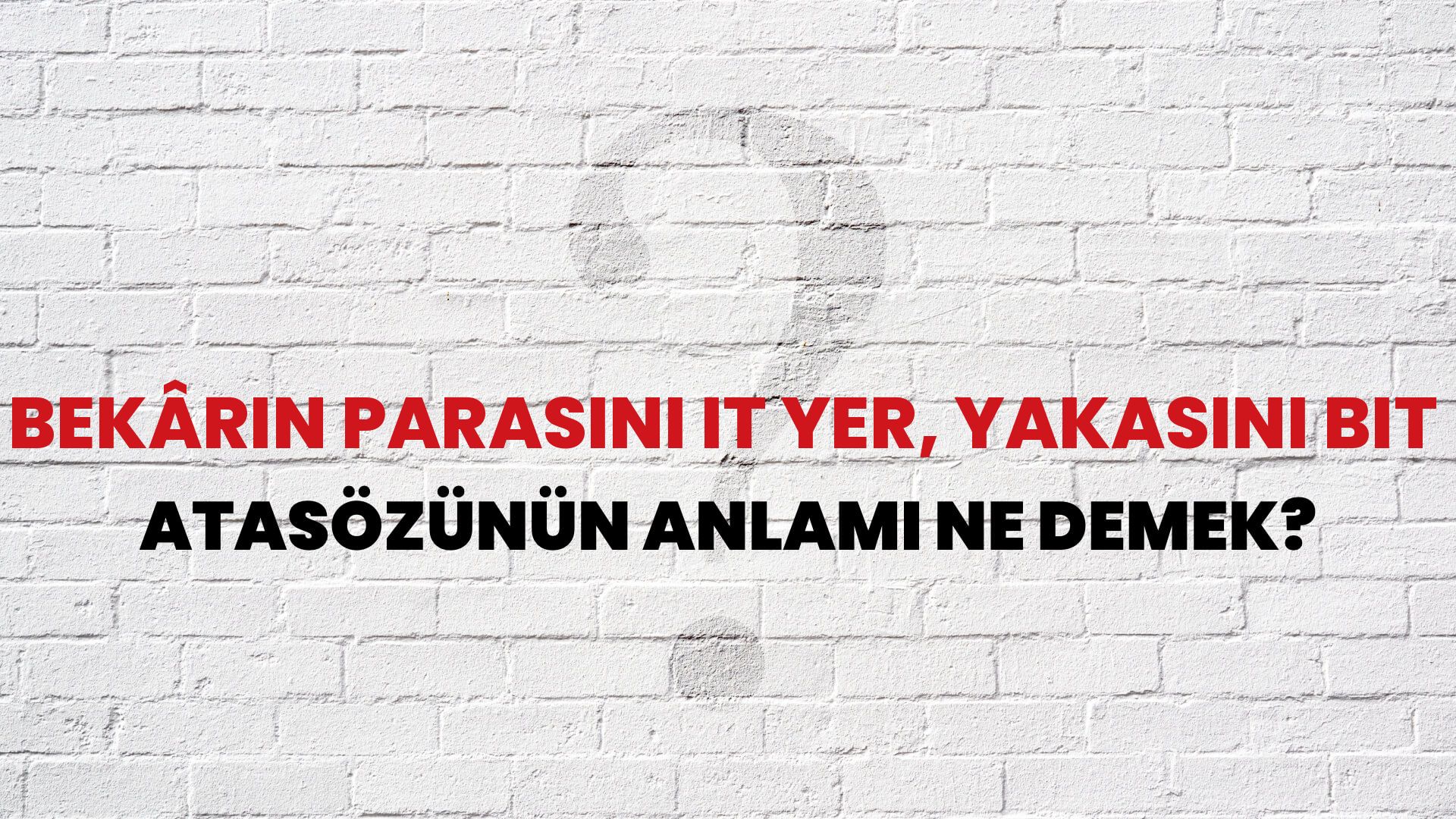 Bekârın parasını it yer, yakasını bit Atasözünün Anlamı Ne Demek?
