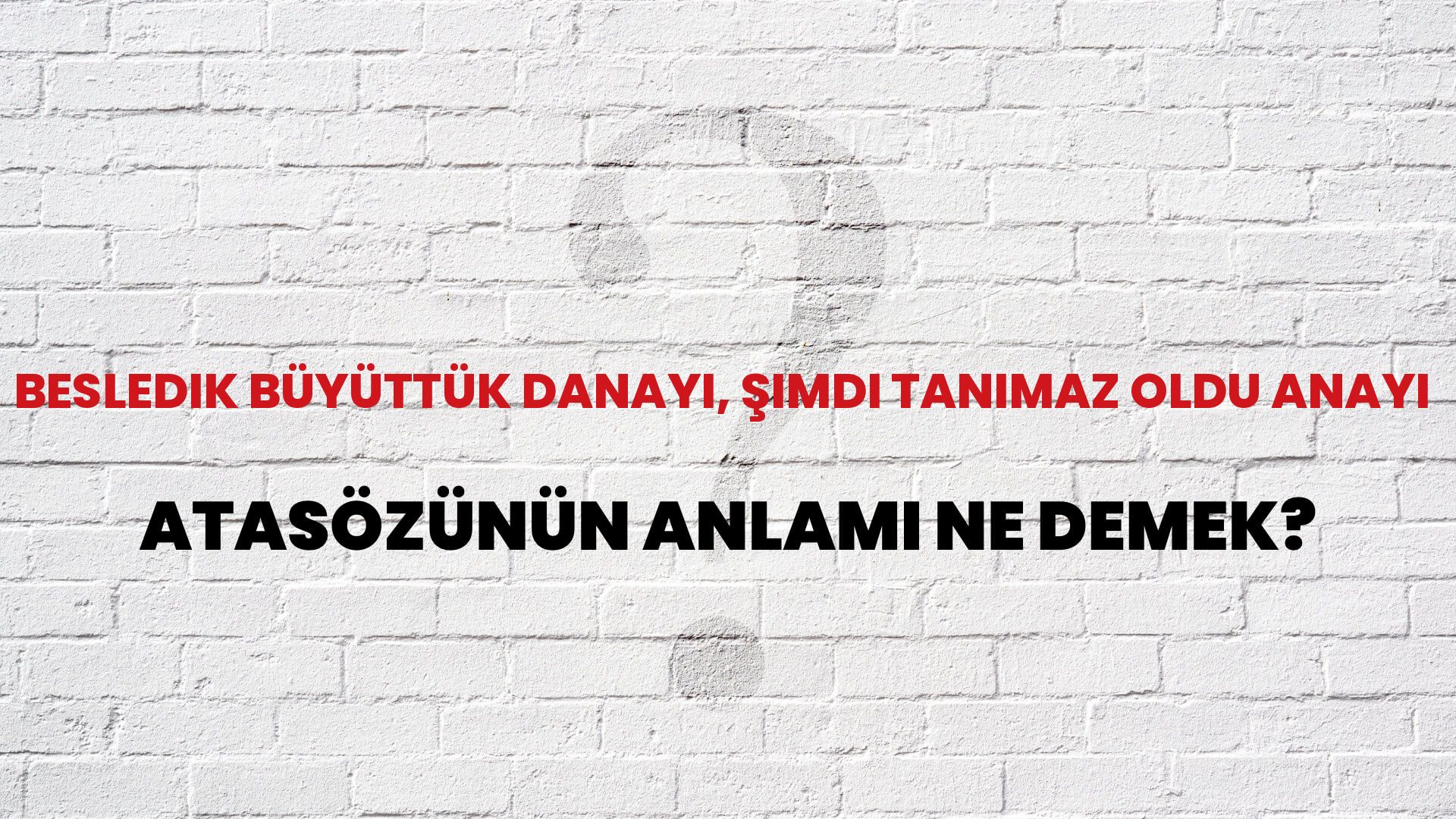 Besledik büyüttük danayı, şimdi tanımaz oldu anayı Atasözünün Anlamı Ne Demek?