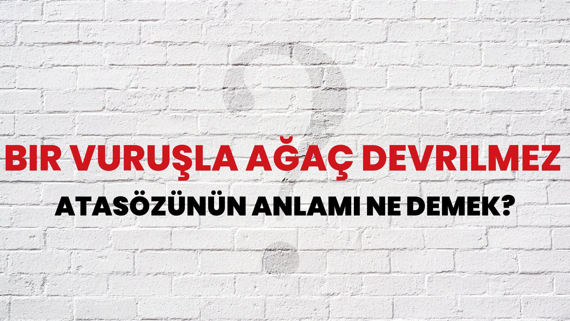 Bir vuruşla ağaç devrilmez Atasözünün Anlamı Ne Demek?