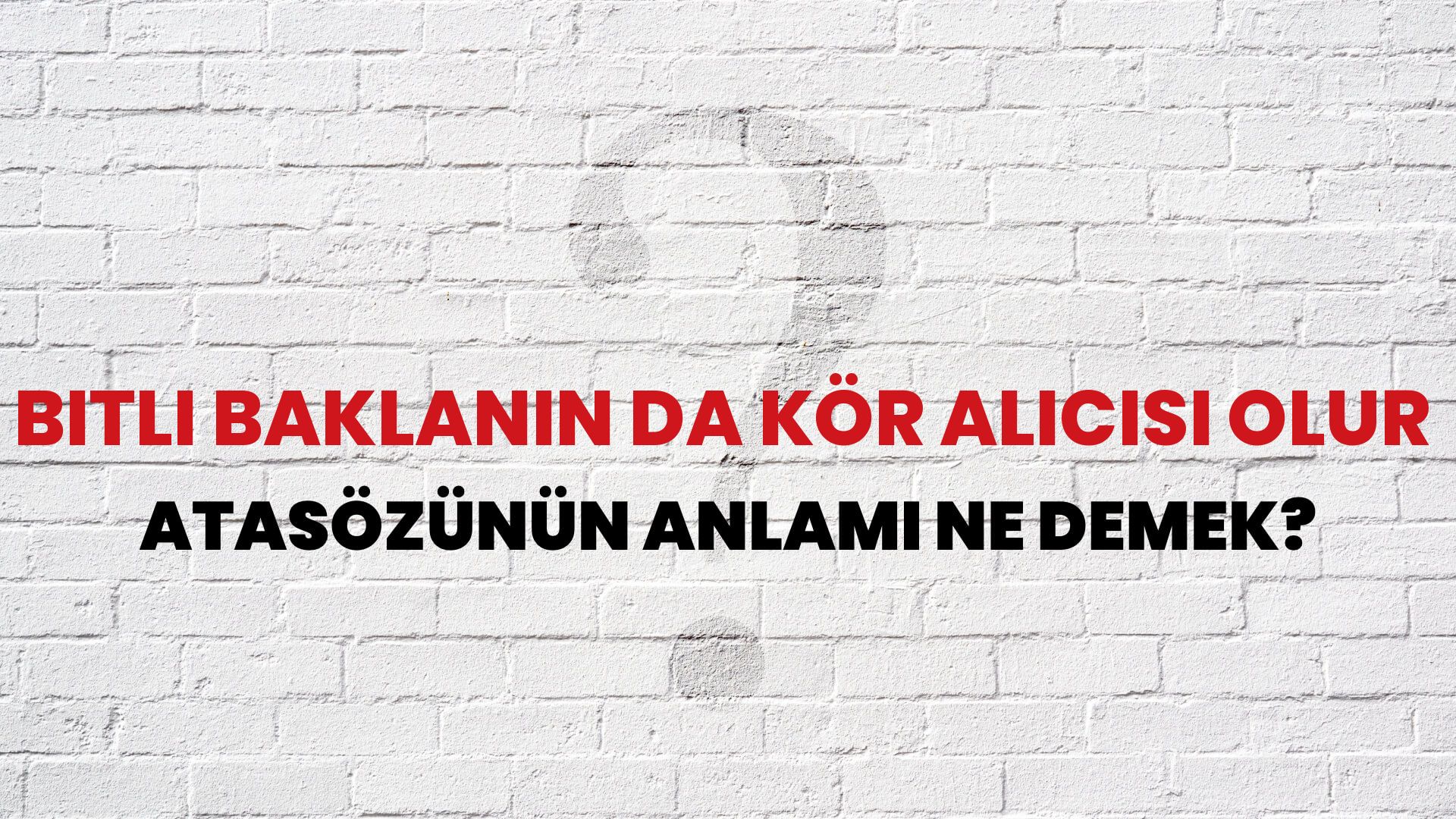 Bitli baklanın da kör alıcısı olur Atasözünün Anlamı Ne Demek?