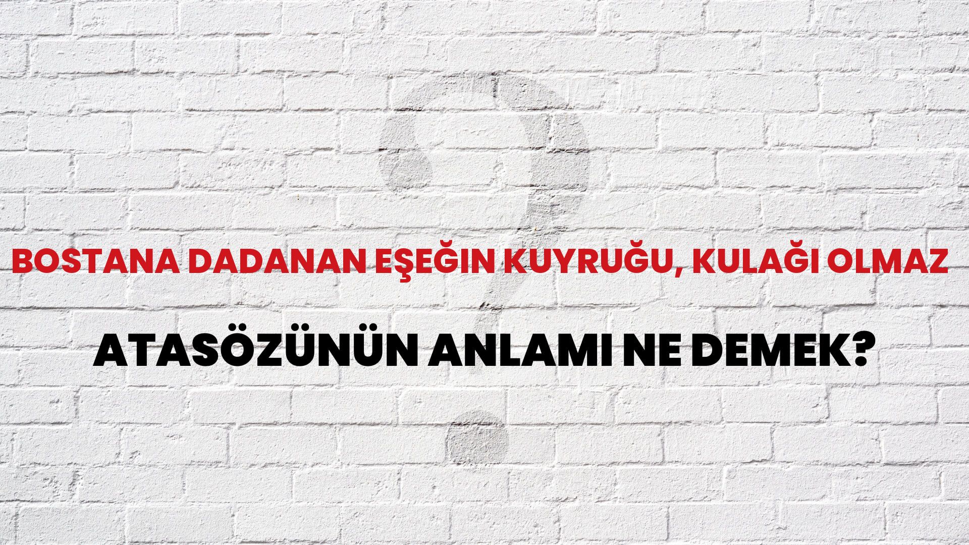 Bostana dadanan eşeğin kuyruğu, kulağı olmaz Atasözünün Anlamı Ne Demek?