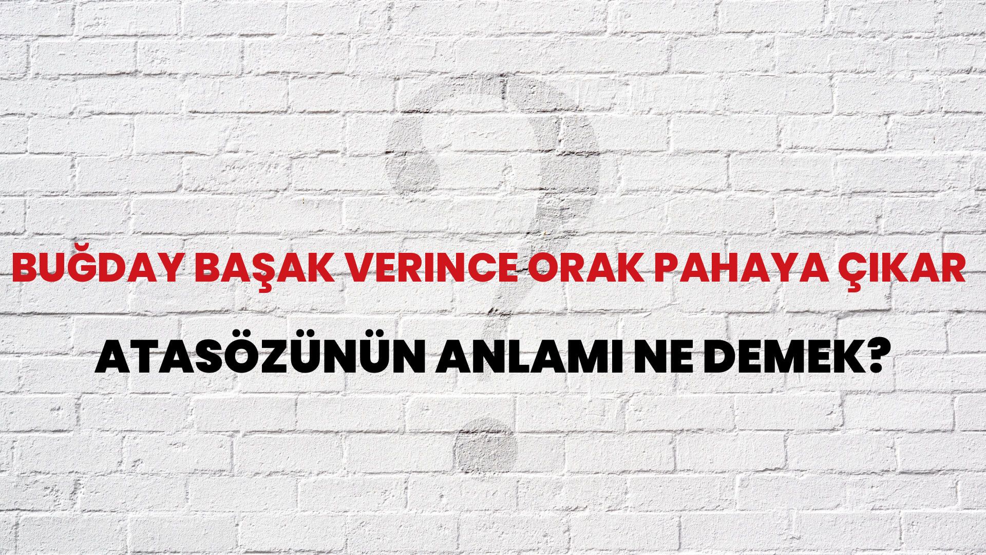 Buğday başak verince orak pahaya çıkar Atasözünün Anlamı Ne Demek?