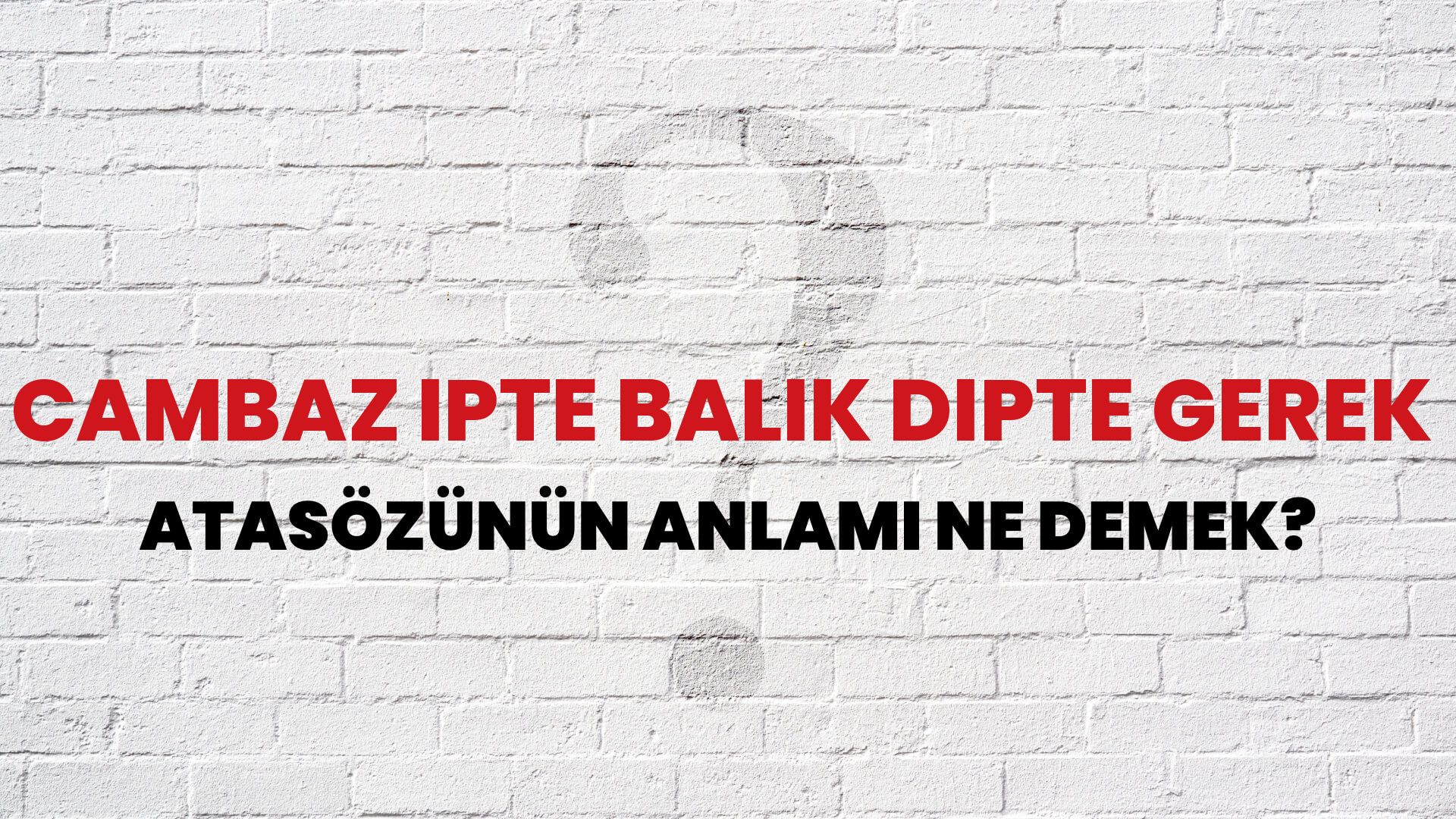 Cambaz ipte balık dipte gerek Atasözünün Anlamı Ne Demek?