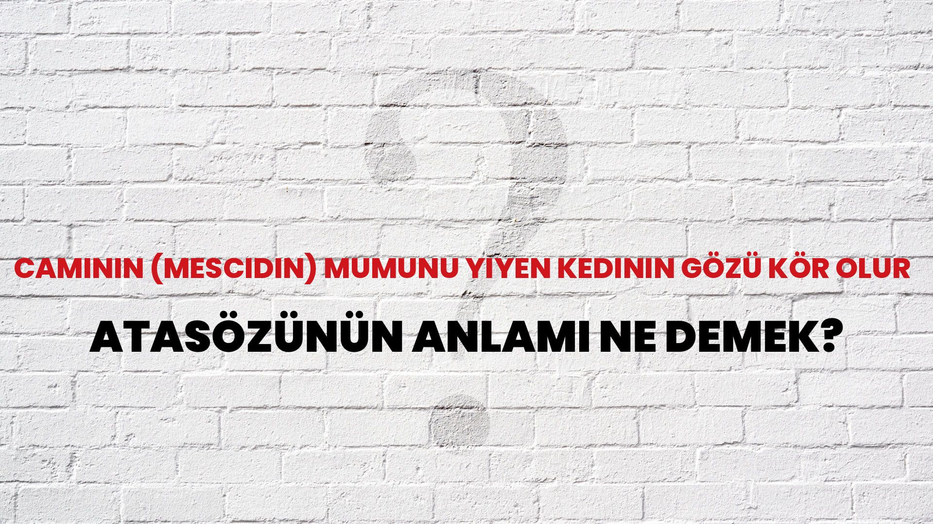 Caminin (mescidin) mumunu yiyen kedinin gözü kör olur Atasözünün Anlamı Ne Demek?