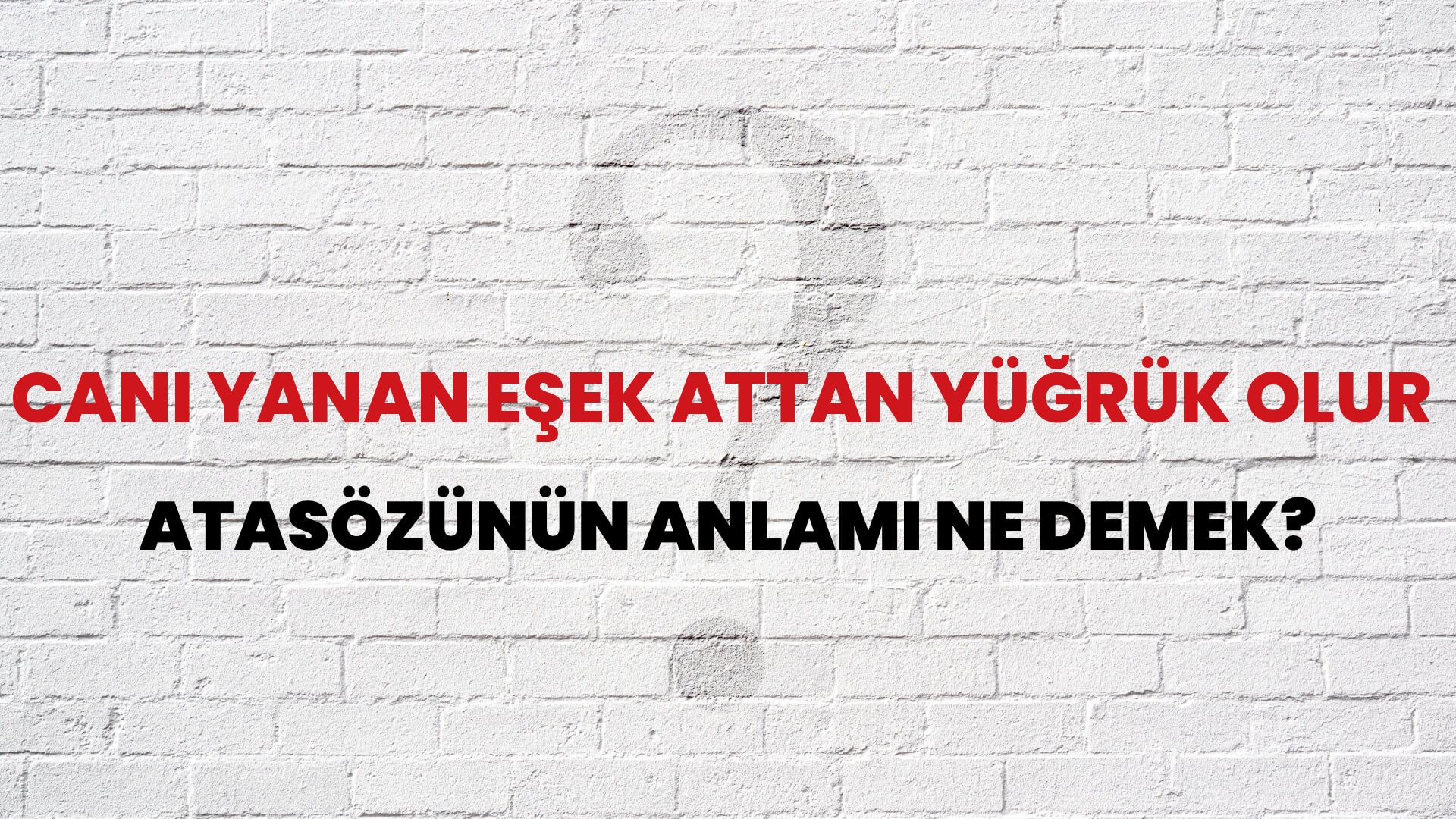 Canı yanan eşek attan yüğrük olur Atasözünün Anlamı Ne Demek?