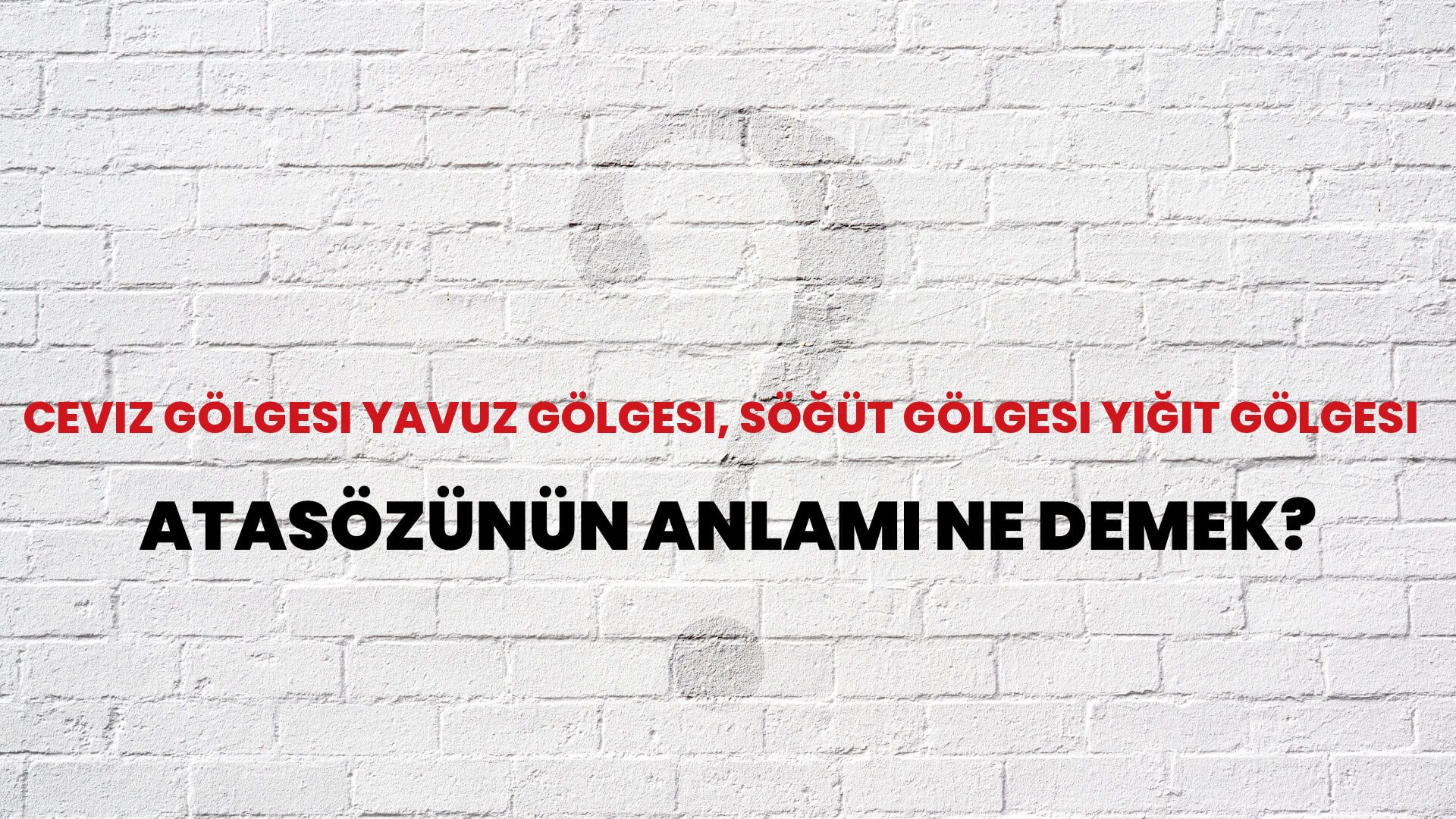 Ceviz gölgesi yavuz gölgesi, söğüt gölgesi yiğit gölgesi Atasözünün Anlamı Ne Demek?