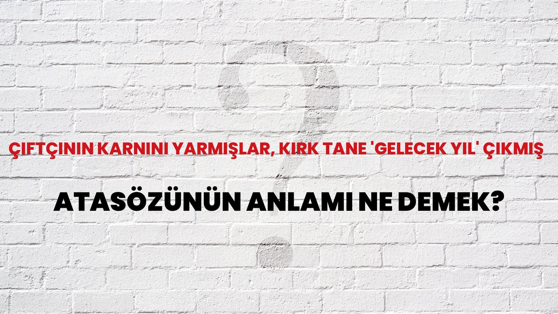 Çiftçinin karnını yarmışlar, kırk tane 'gelecek yıl' çıkmış Atasözünün Anlamı Ne Demek?