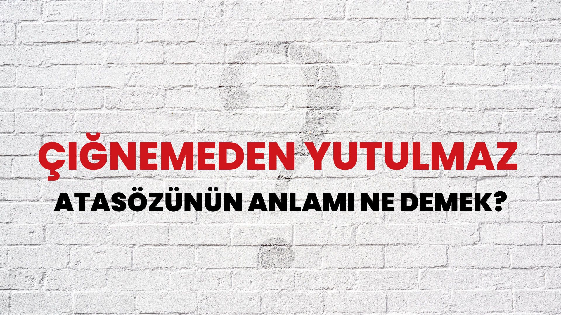Çiğnemeden yutulmaz Atasözünün Anlamı Ne Demek?