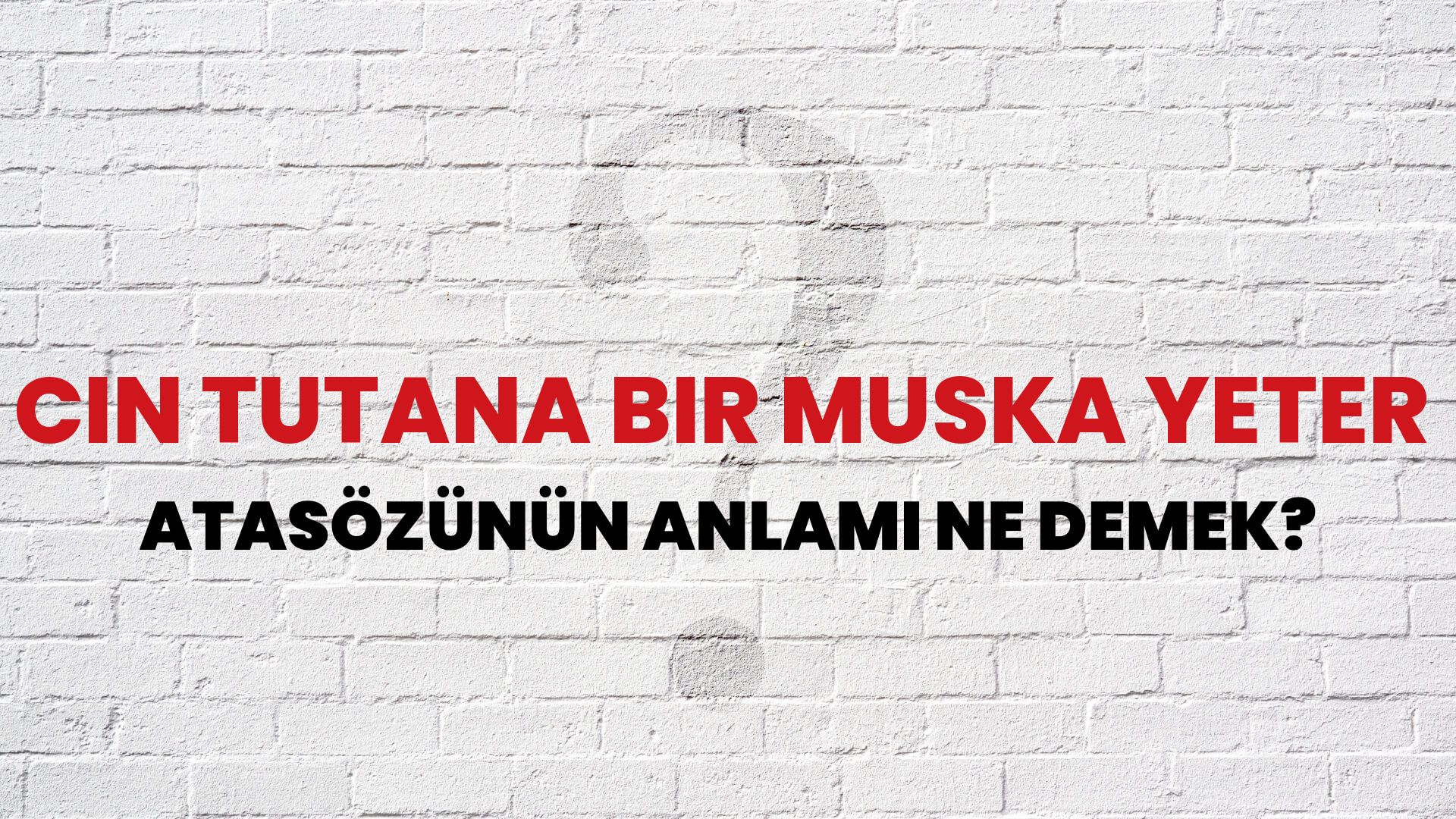 Cin tutana bir muska yeter Atasözünün Anlamı Ne Demek?