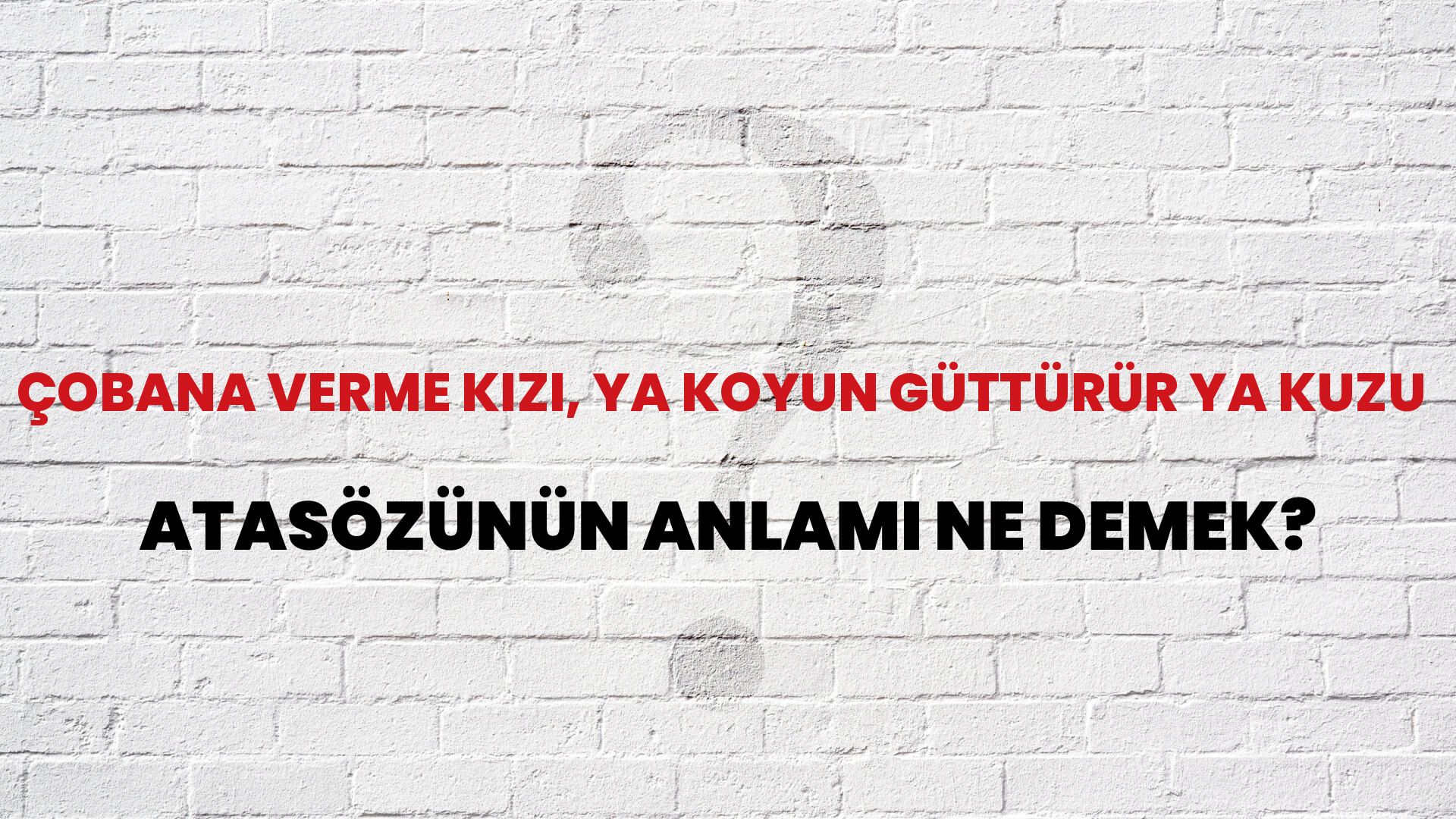 Çobana verme kızı, ya koyun güttürür ya kuzu Atasözünün Anlamı Ne Demek?