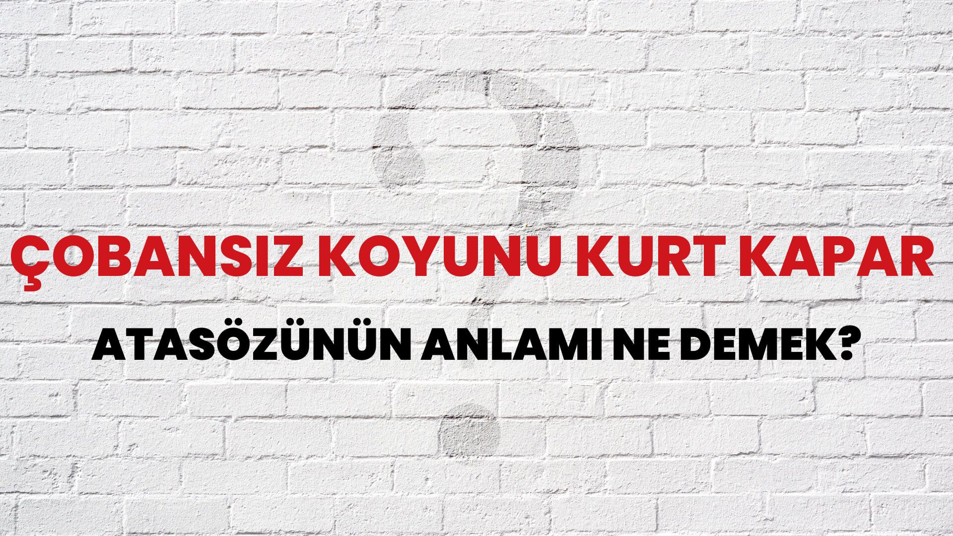 Çobansız koyunu kurt kapar Atasözünün Anlamı Ne Demek?