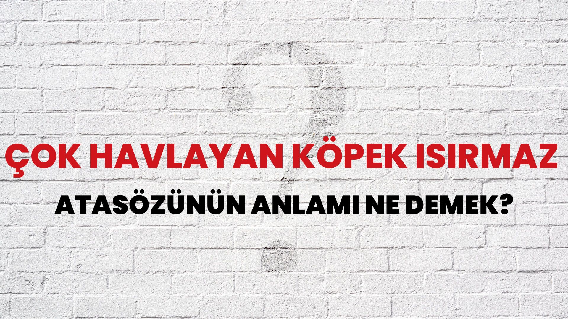 Çok havlayan köpek ısırmaz Atasözünün Anlamı Ne Demek?