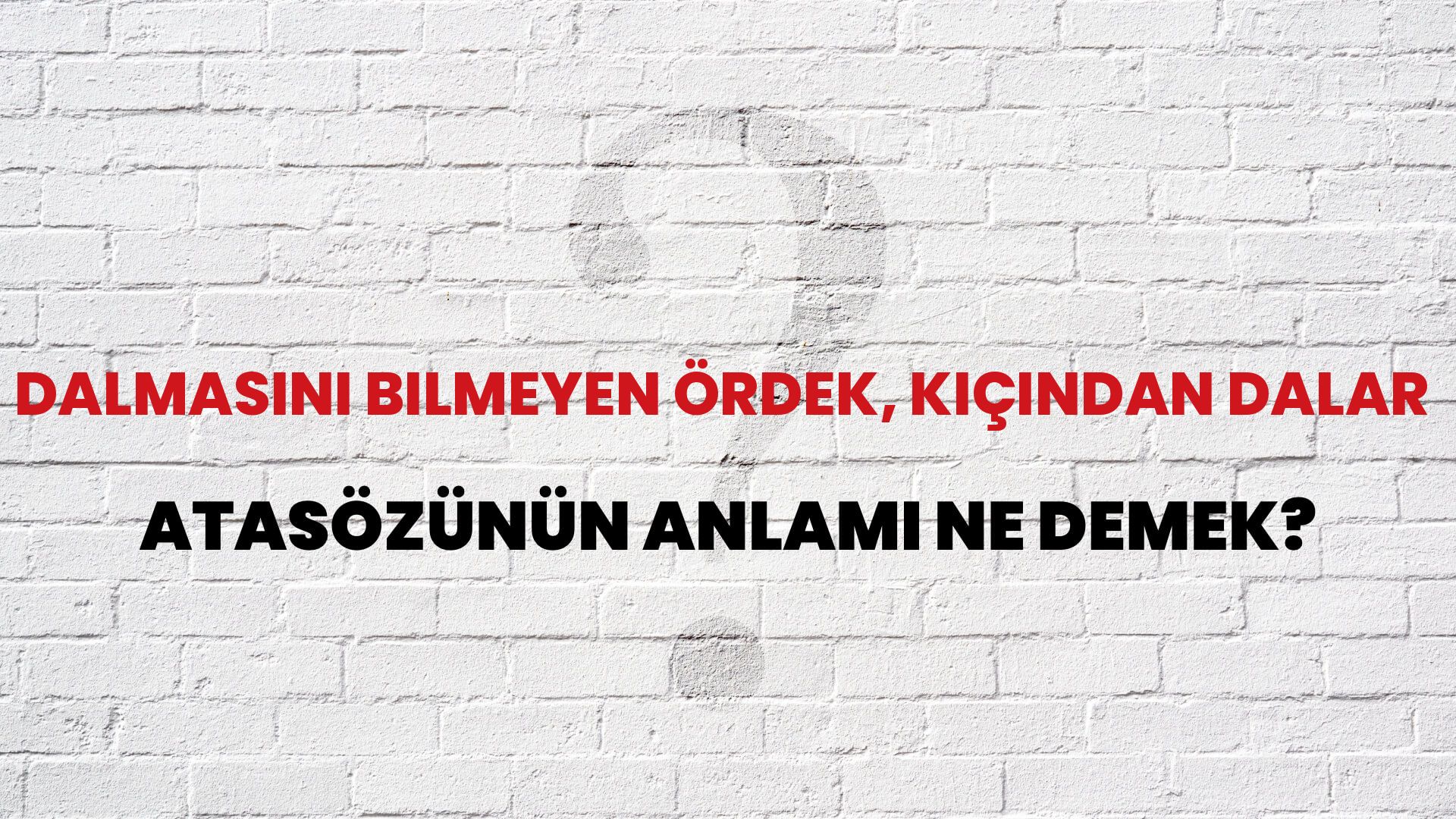 Dalmasını bilmeyen ördek, kıçından dalar Atasözünün Anlamı Ne Demek?