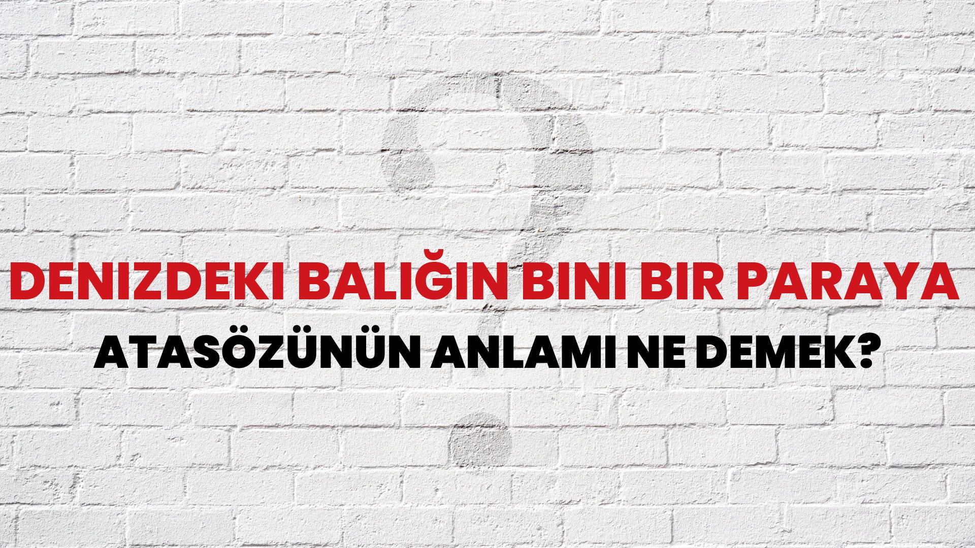 Denizdeki balığın bini bir paraya Atasözünün Anlamı Ne Demek?