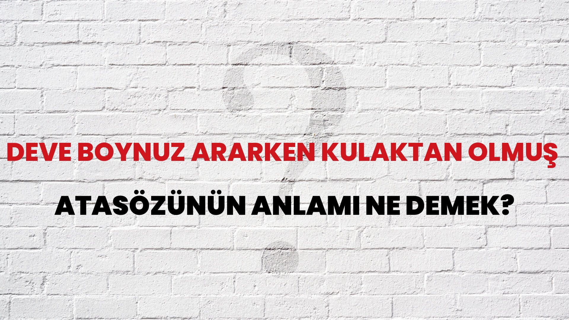 Deve boynuz ararken kulaktan olmuş Atasözünün Anlamı Ne Demek?