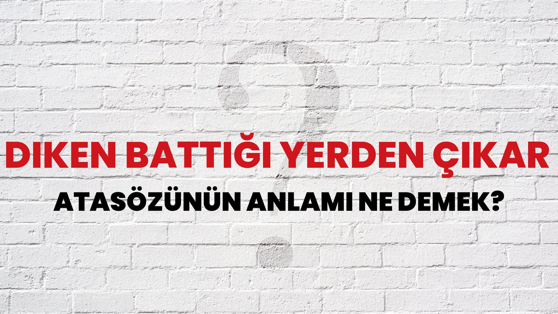 Diken battığı yerden çıkar Atasözünün Anlamı Ne Demek?