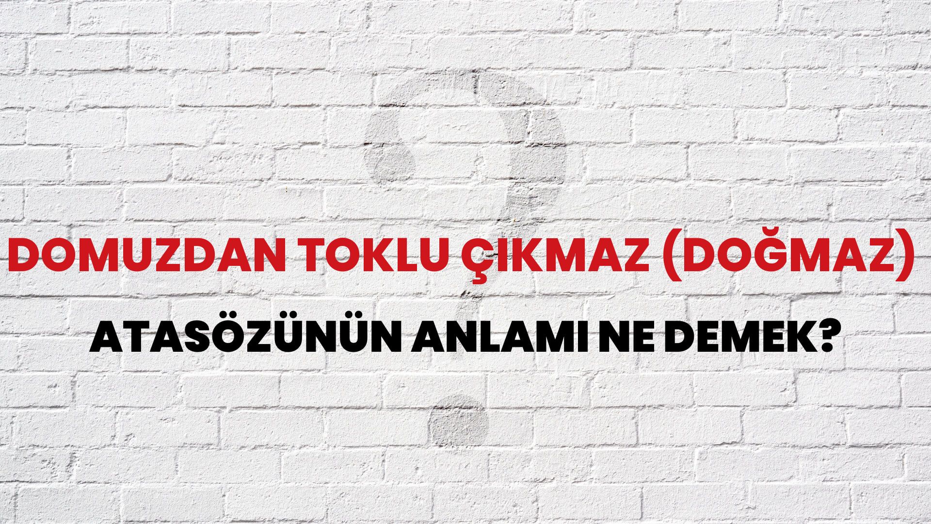 Domuzdan toklu çıkmaz (doğmaz) Atasözünün Anlamı Ne Demek?
