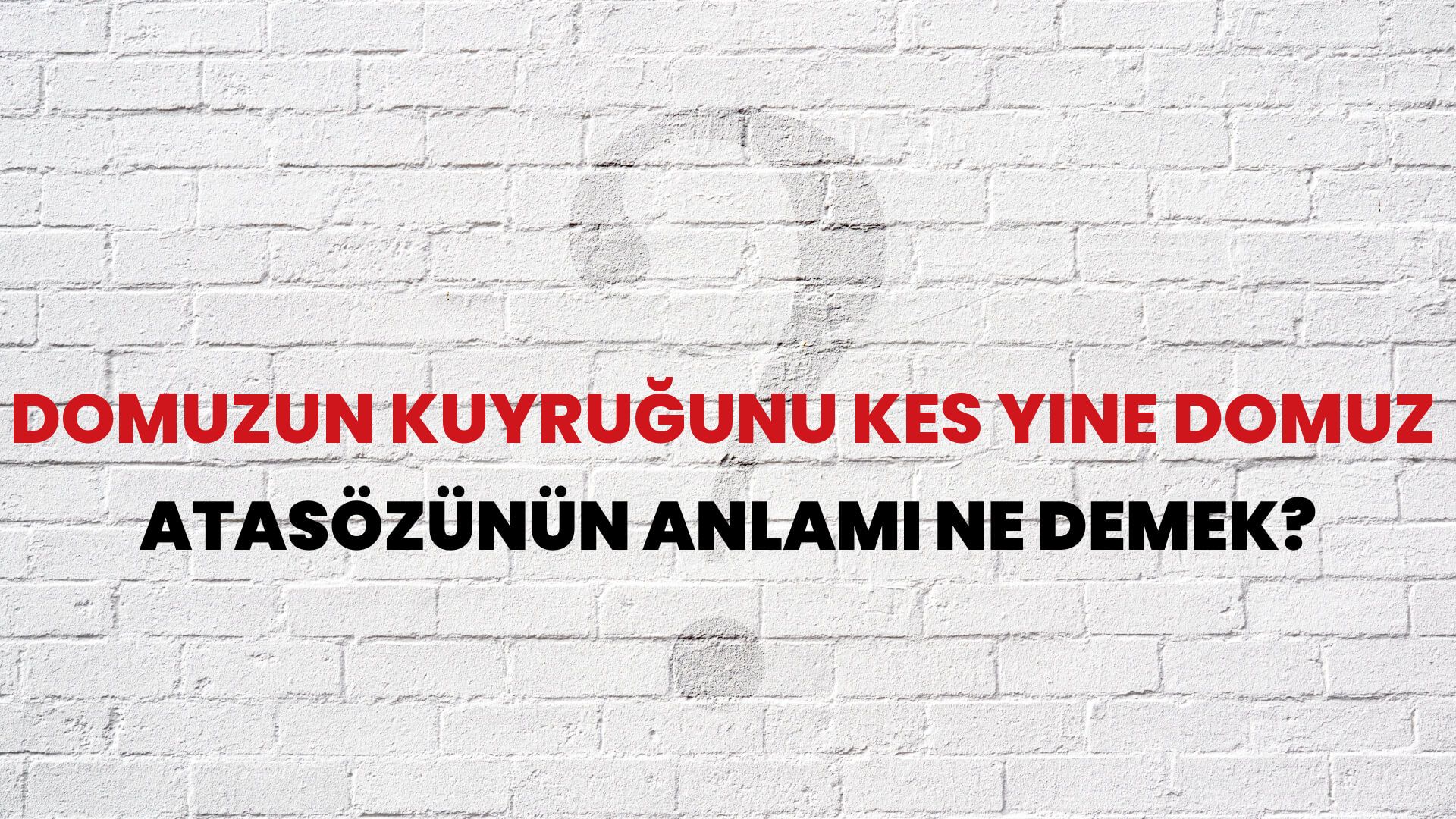 Domuzun kuyruğunu kes yine domuz Atasözünün Anlamı Ne Demek?