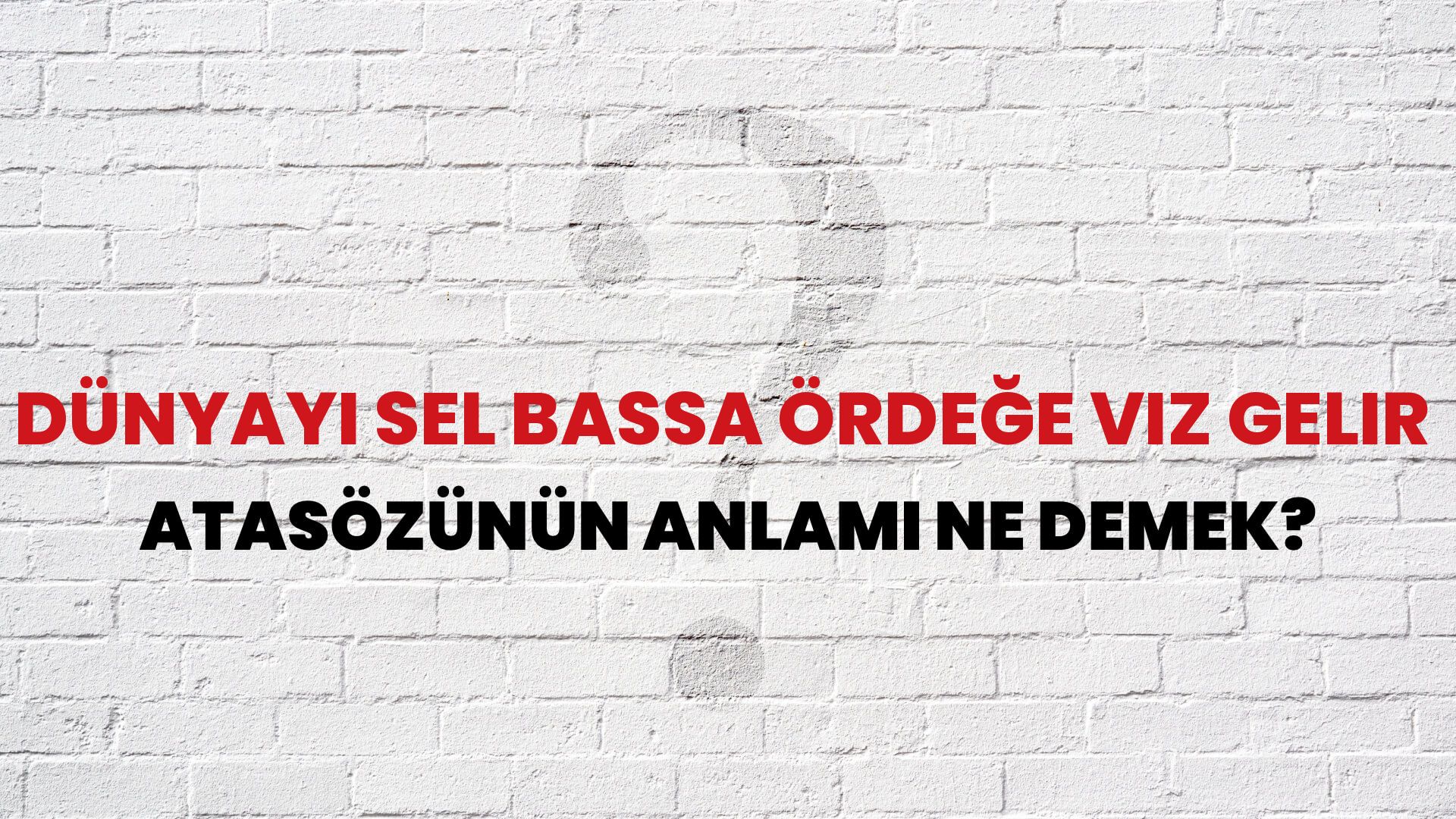 Dünyayı sel bassa ördeğe vız gelir Atasözünün Anlamı Ne Demek?