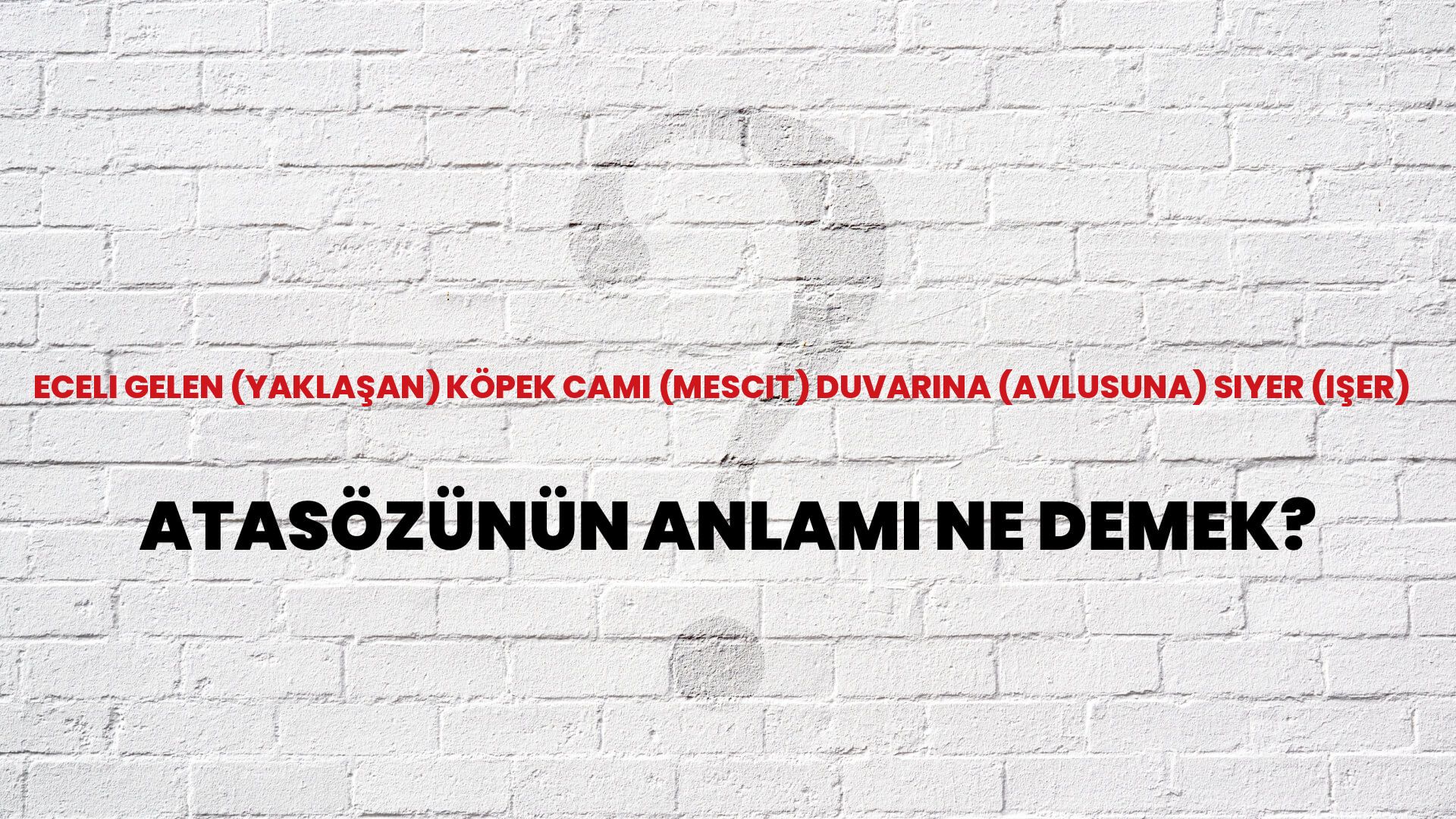 Eceli gelen (yaklaşan) köpek cami (mescit) duvarına (avlusuna) siyer (işer) Atasözünün Anlamı Ne Demek?