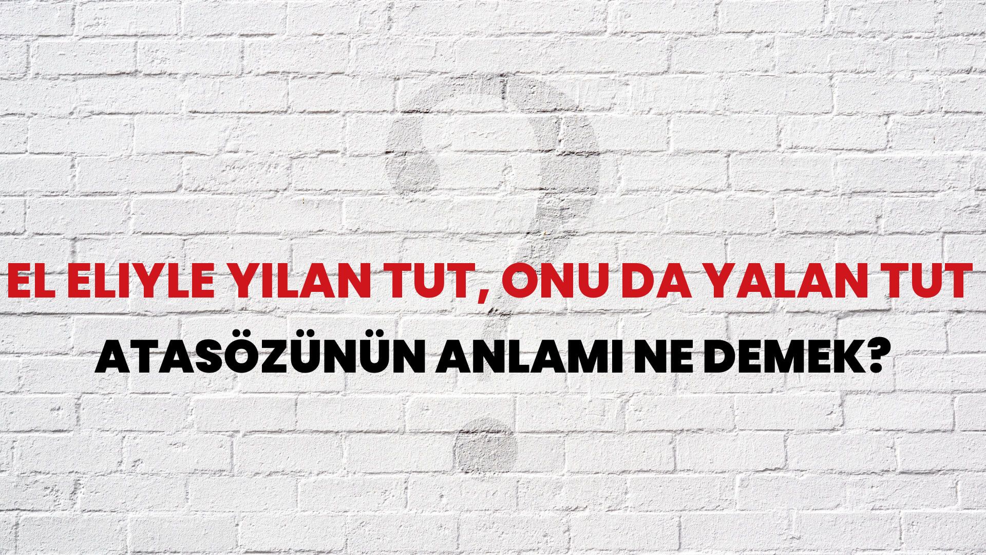 El eliyle yılan tut, onu da yalan tut Atasözünün Anlamı Ne Demek?