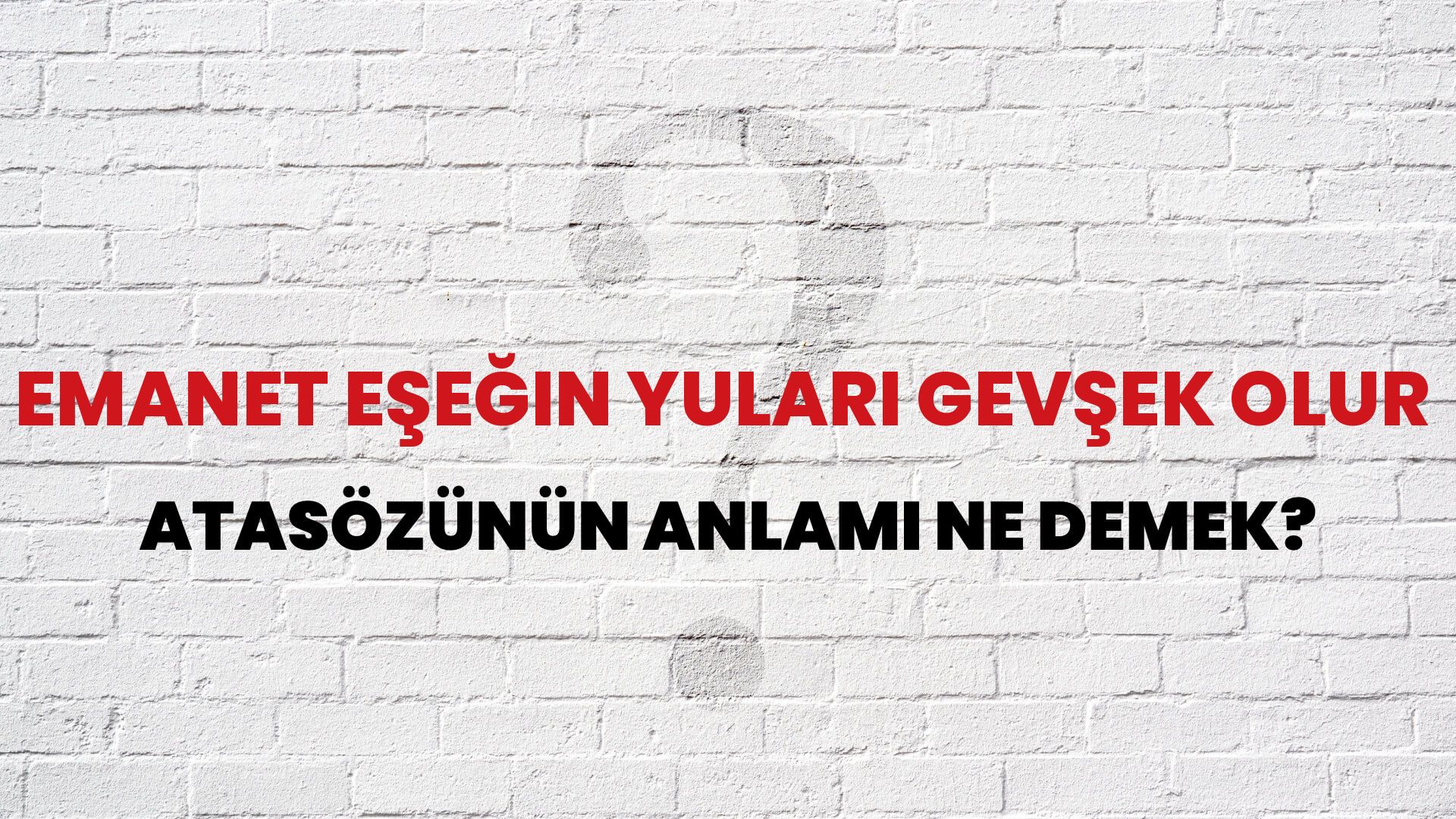 Emanet eşeğin yuları gevşek olur Atasözünün Anlamı Ne Demek?