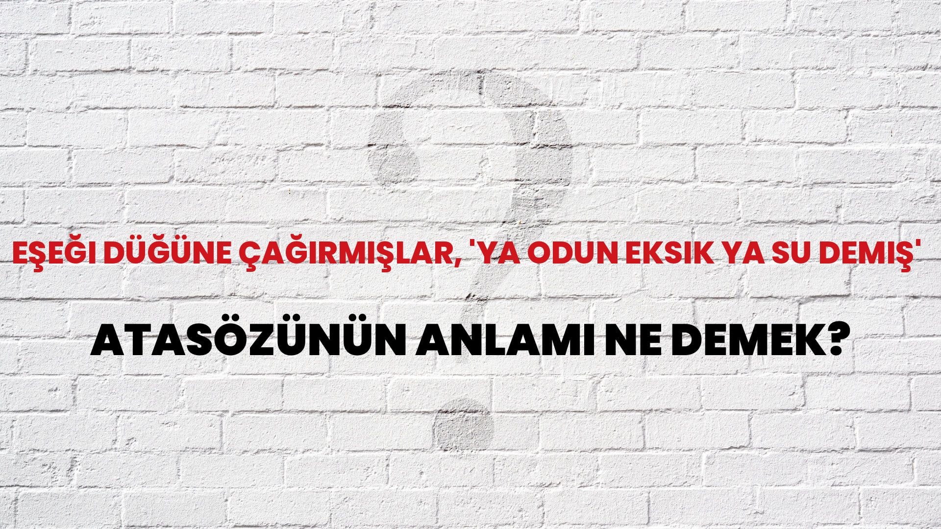 Eşeği düğüne çağırmışlar, 'ya odun eksik ya su demiş' Atasözünün Anlamı Ne Demek?