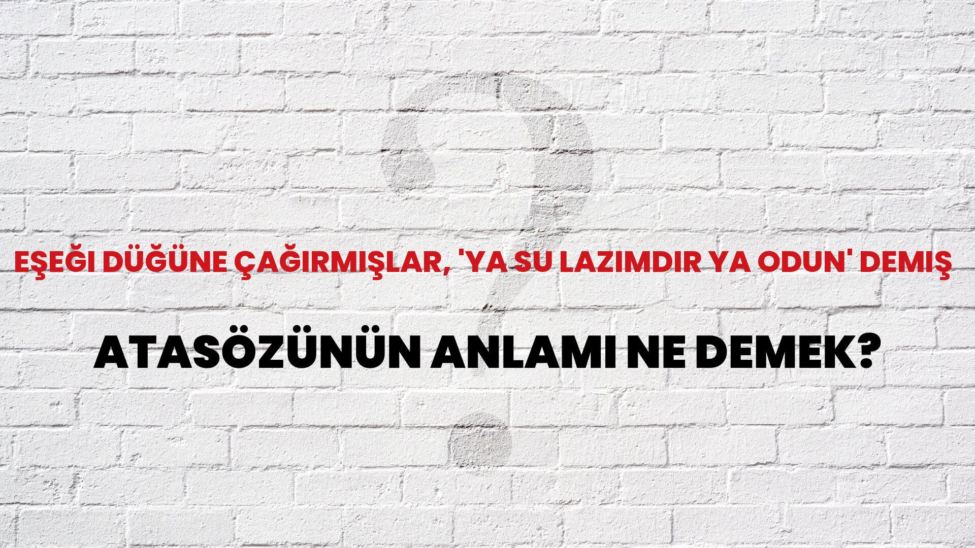 Eşeği düğüne çağırmışlar, 'ya su lazımdır ya odun' demiş Atasözünün Anlamı Ne Demek?