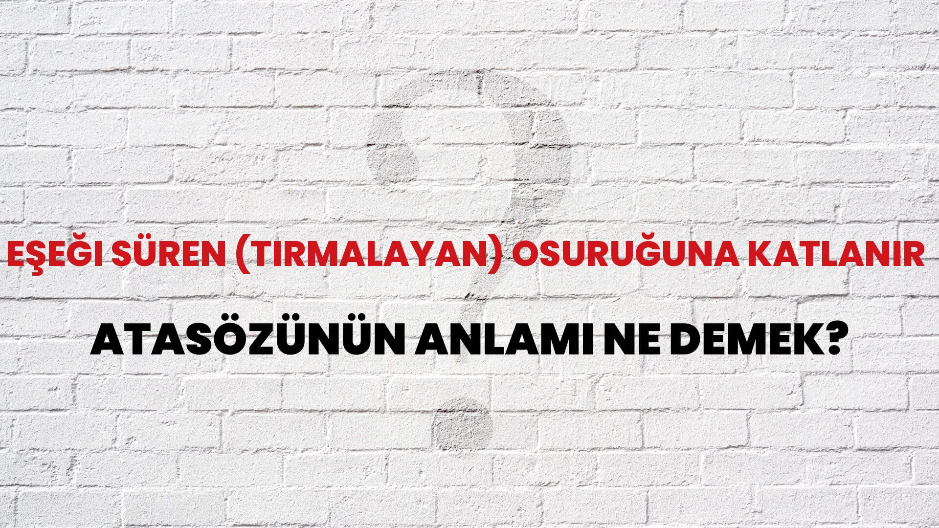 Eşeği süren (tırmalayan) osuruğuna katlanır Atasözünün Anlamı Ne Demek?